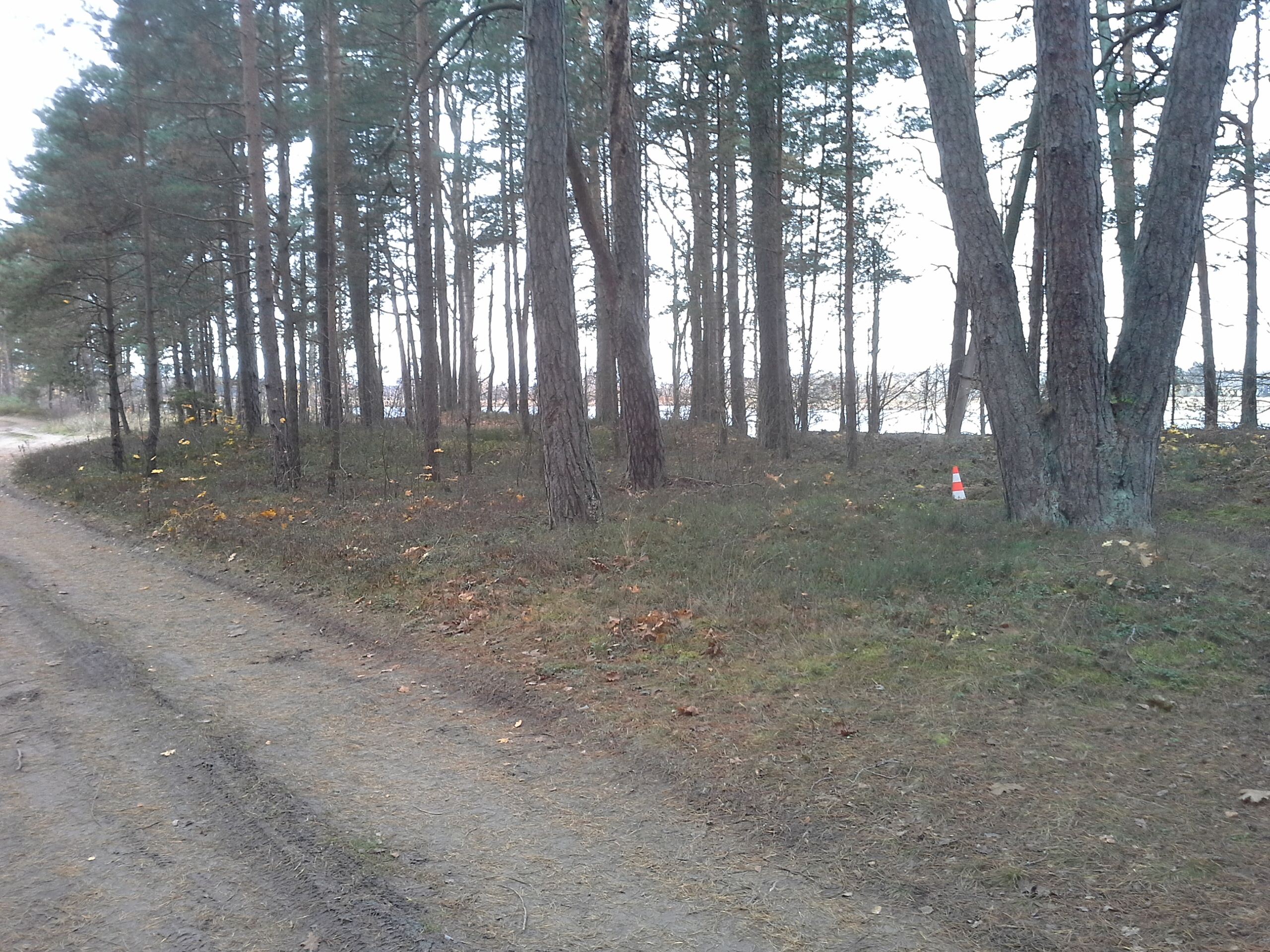 Apkārtnes foto