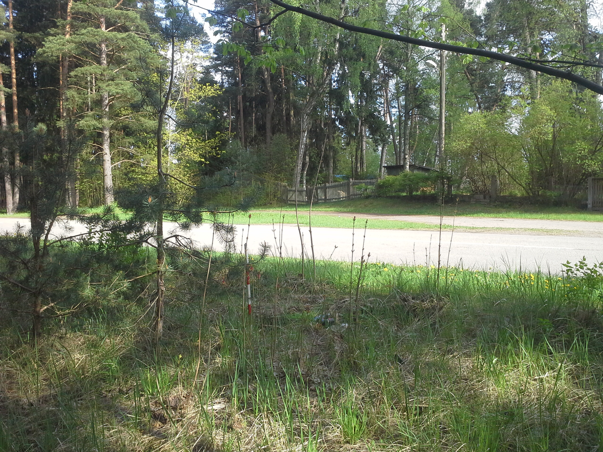 Apkārtnes foto