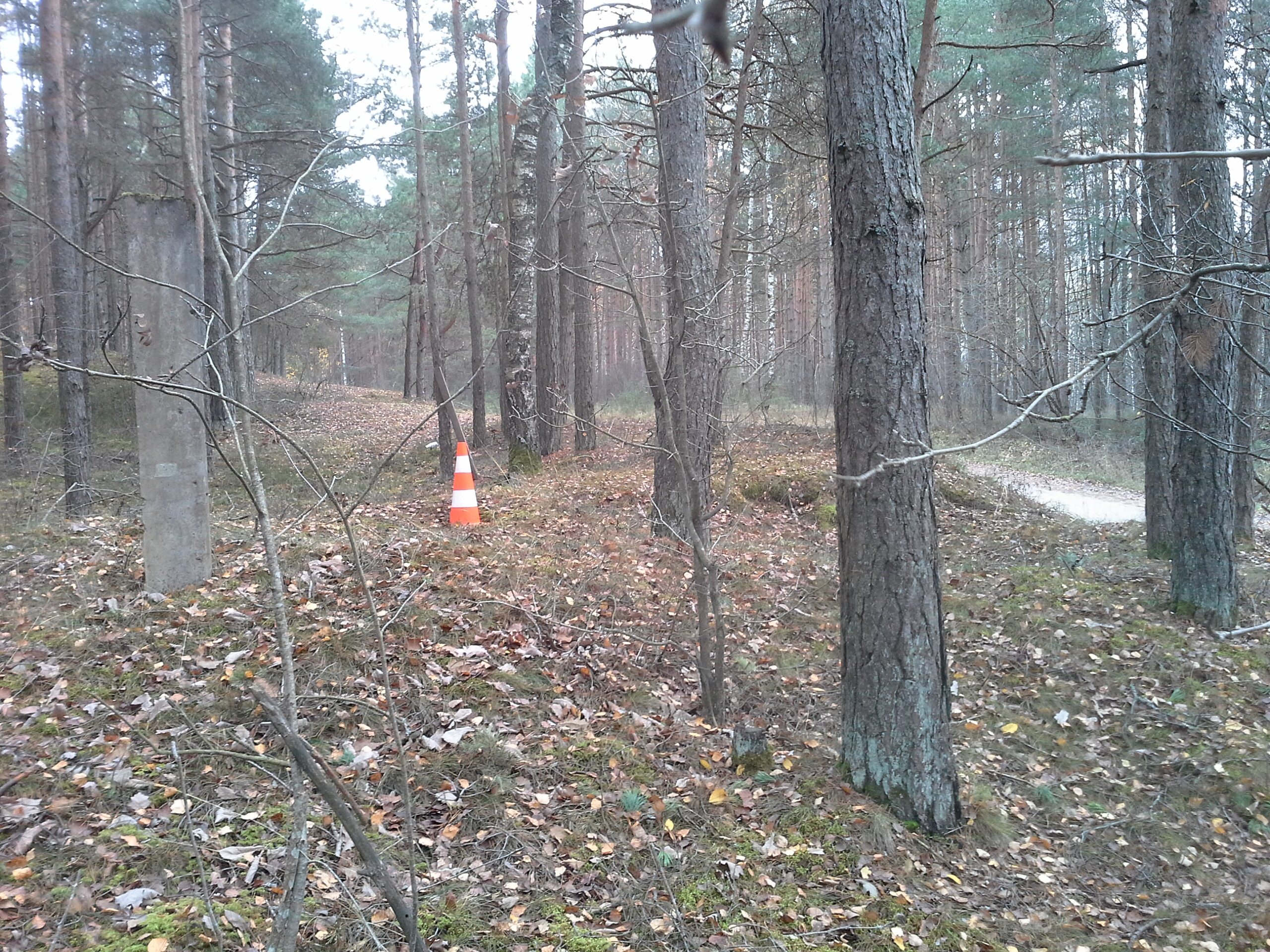 Apkārtnes foto