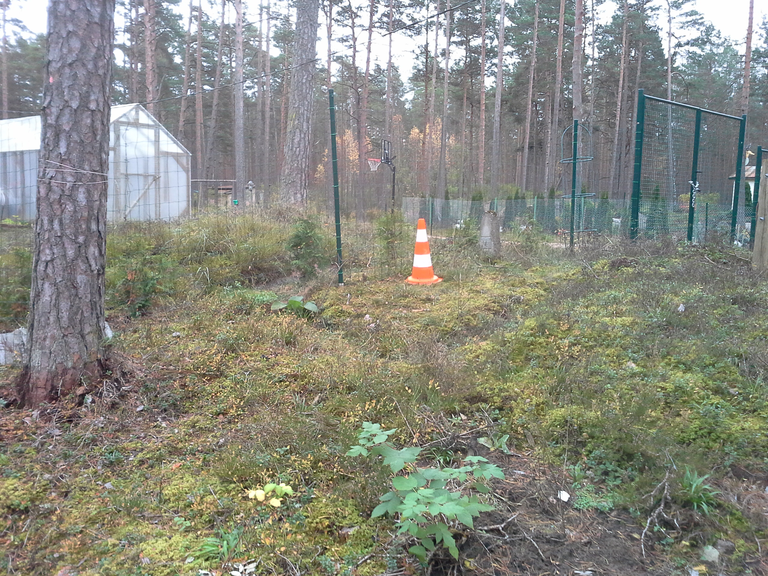 Apkārtnes foto