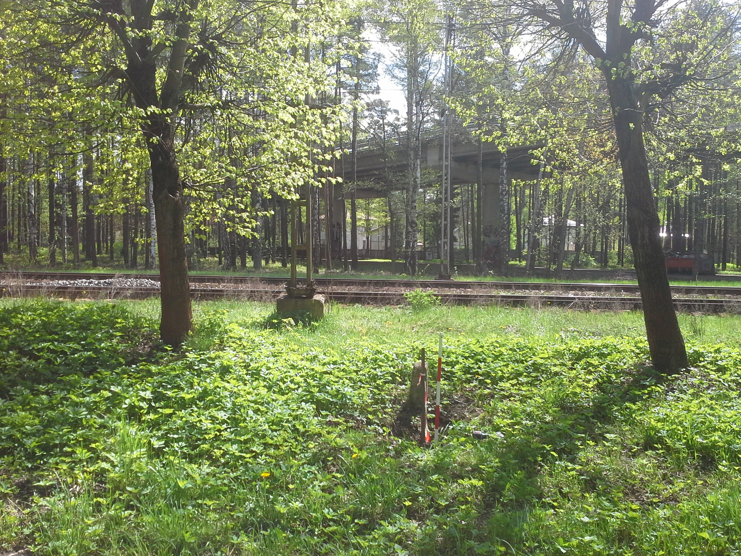 Apkārtnes foto