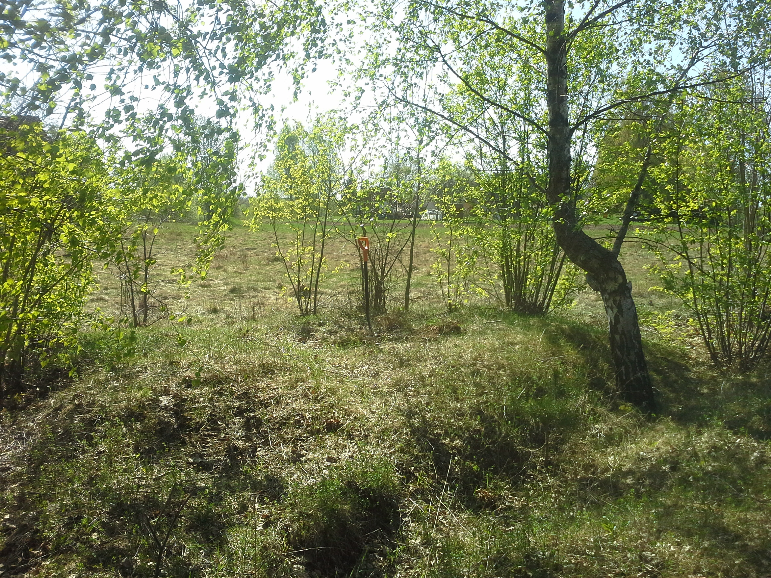 Apkārtnes foto