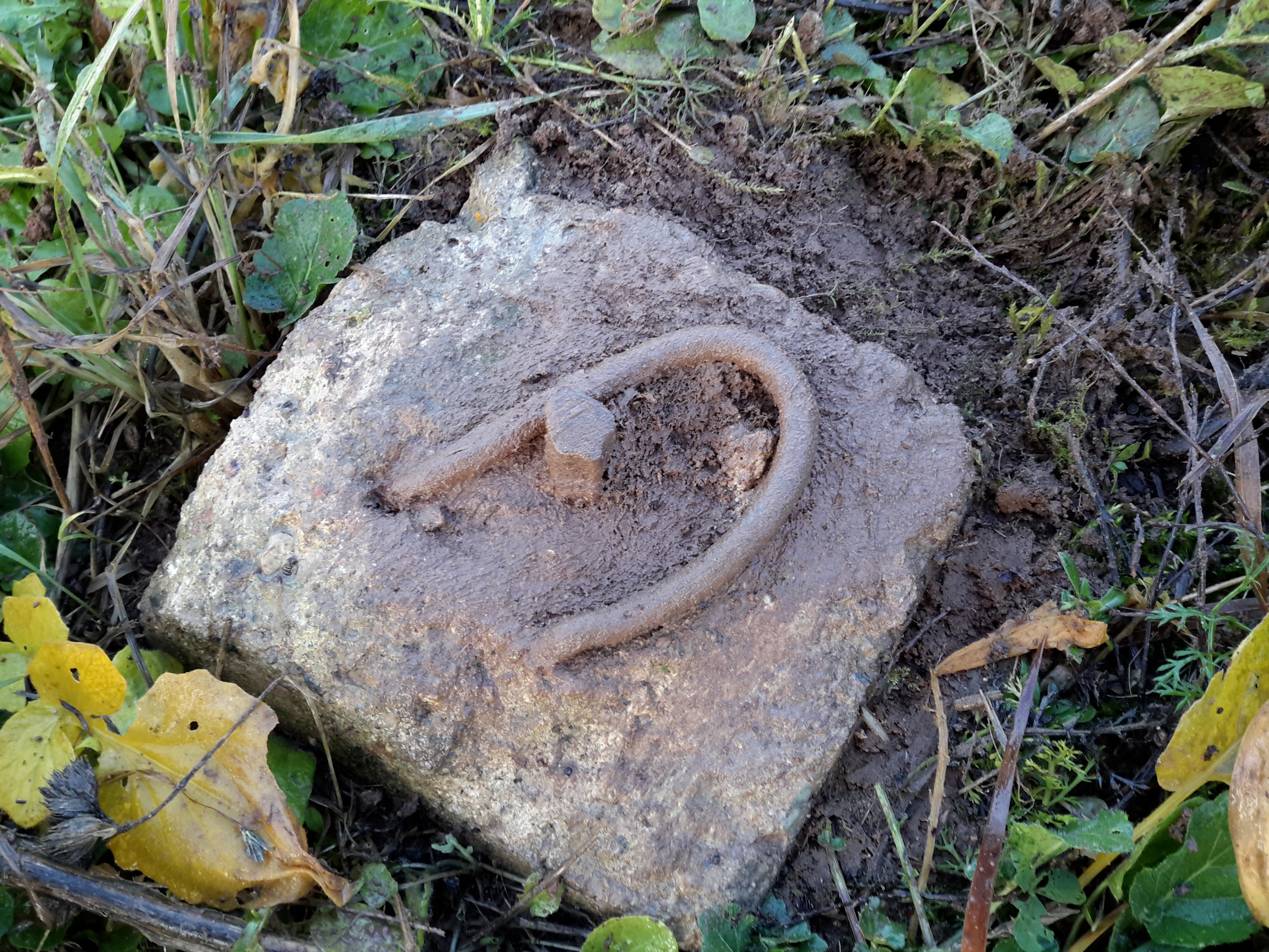 Zīmes foto