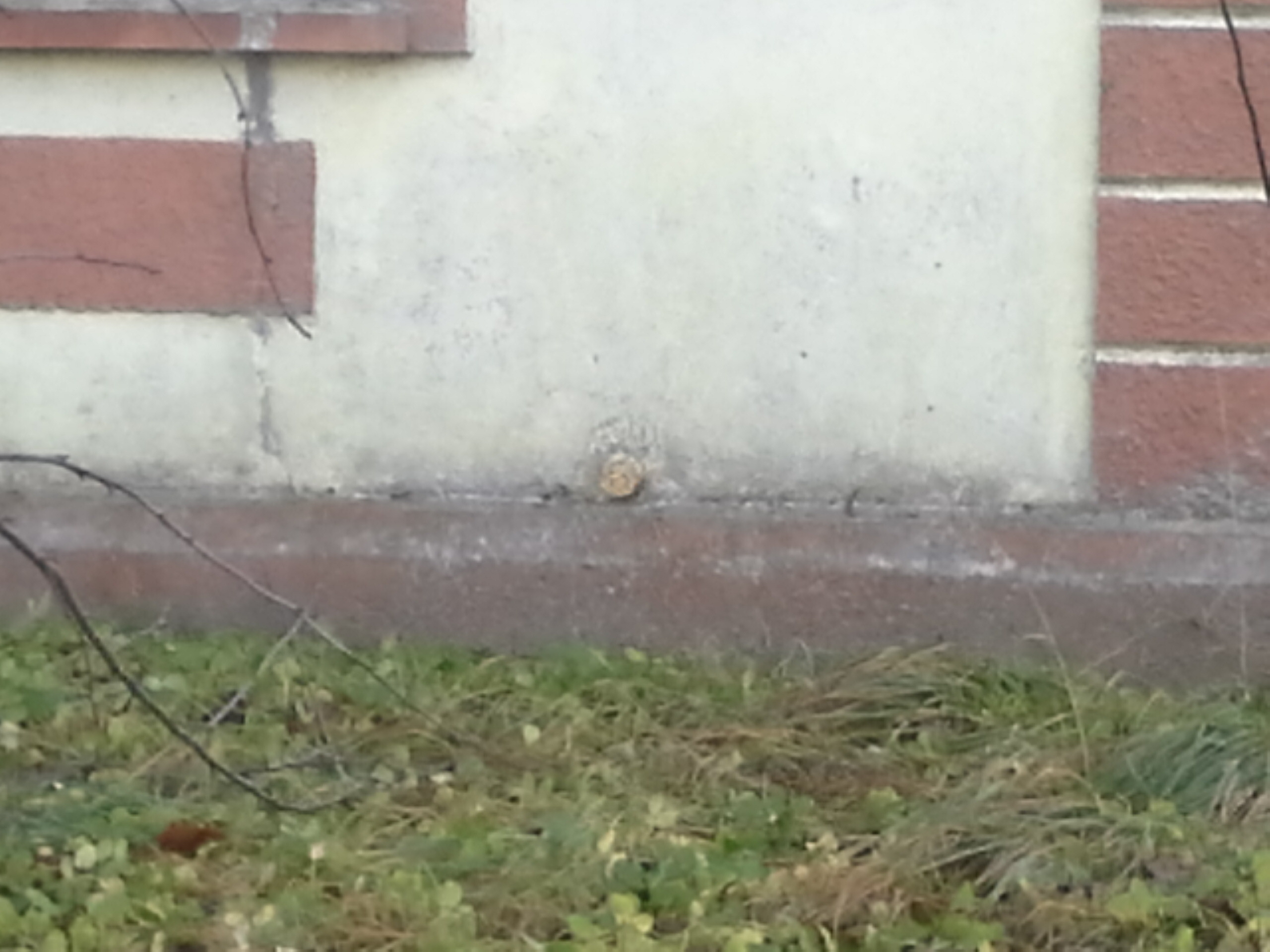 Zīmes foto