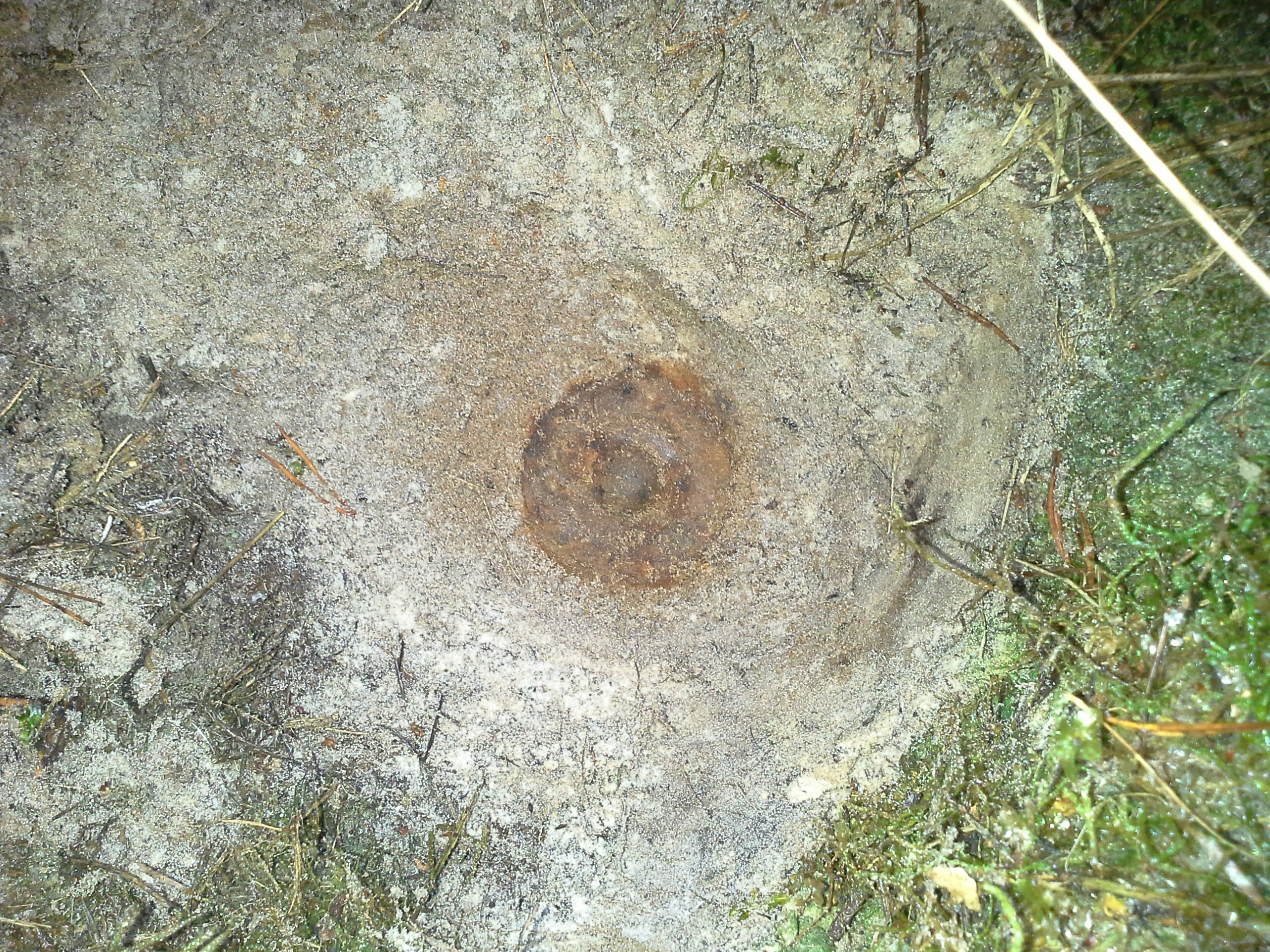 Zīmes foto