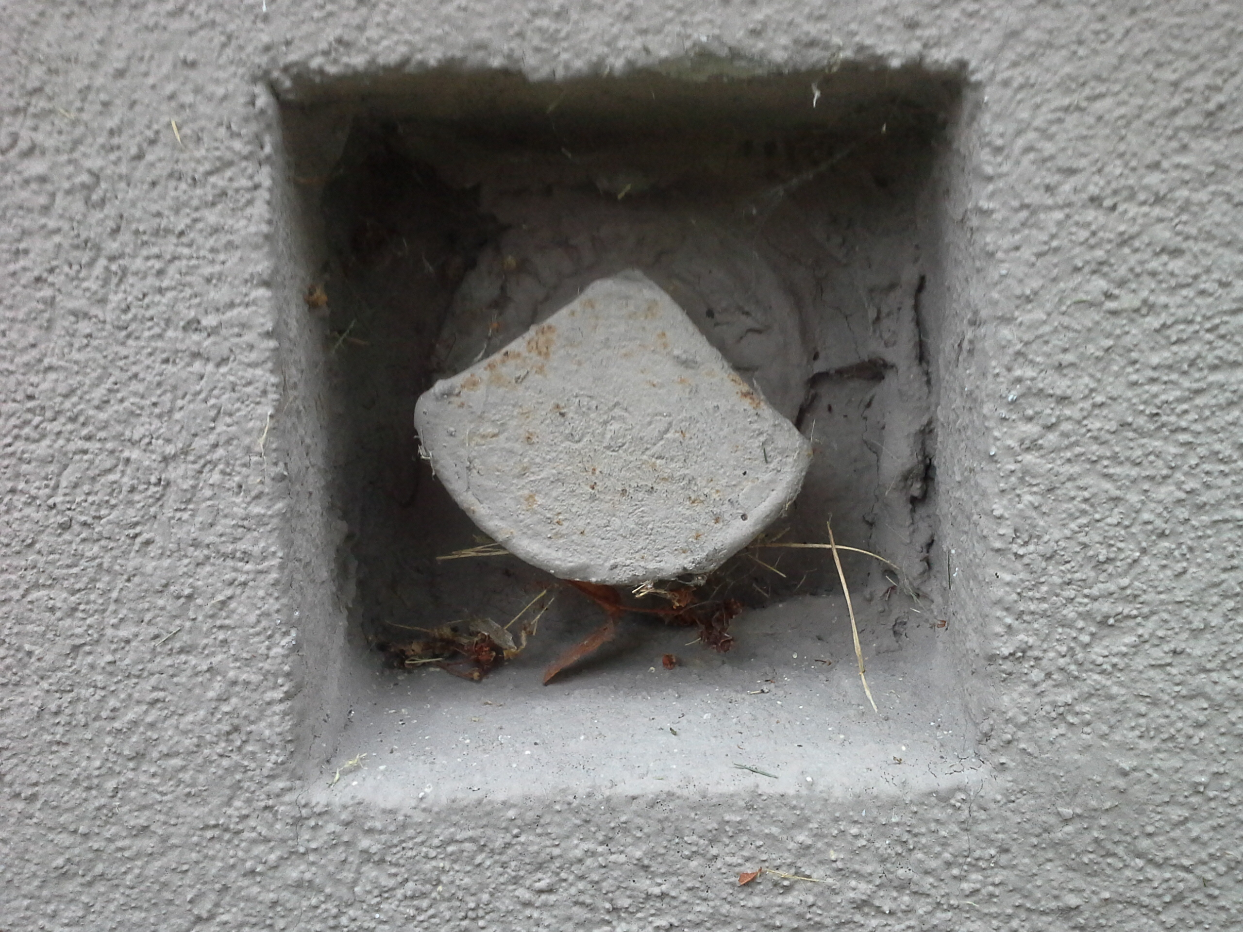 Zīmes foto