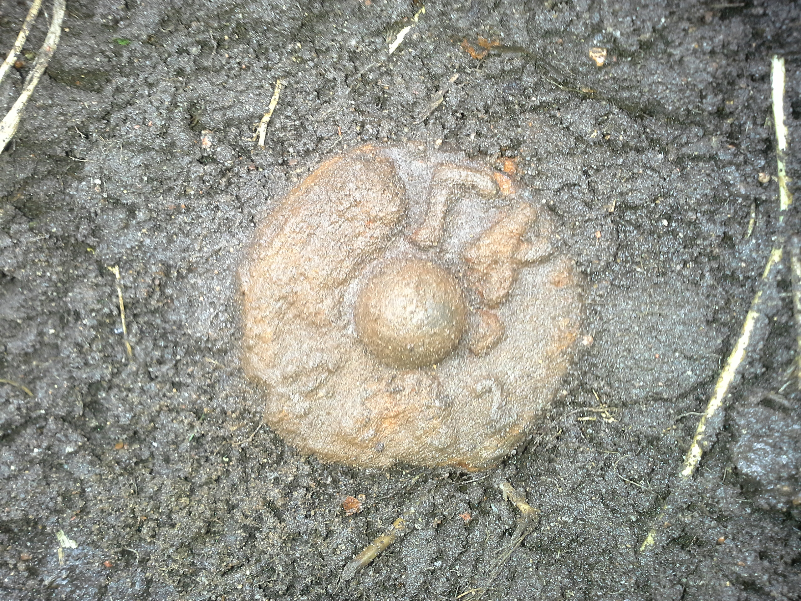 Zīmes foto