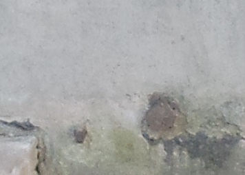 Zīmes foto