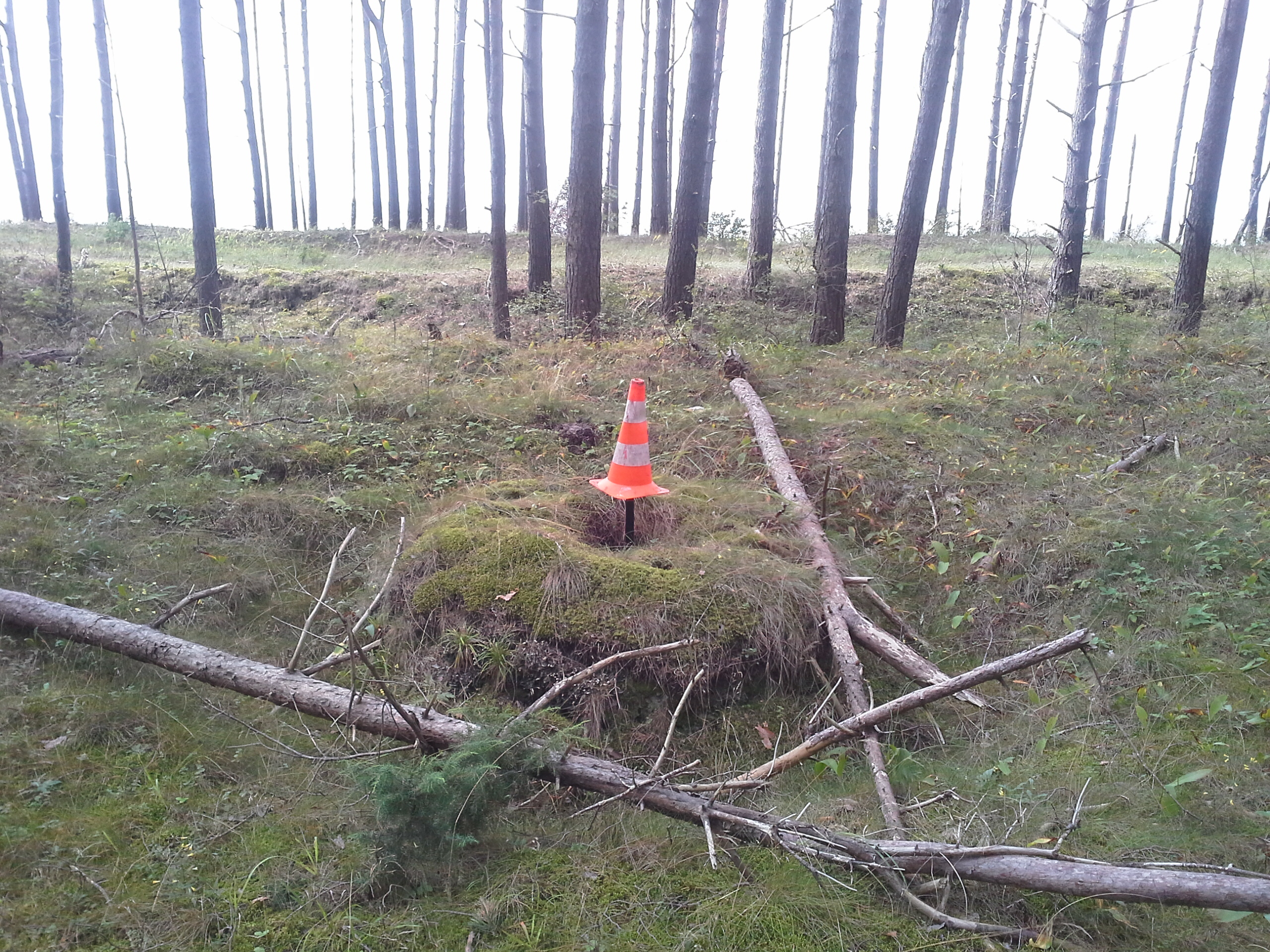 Apkārtnes foto