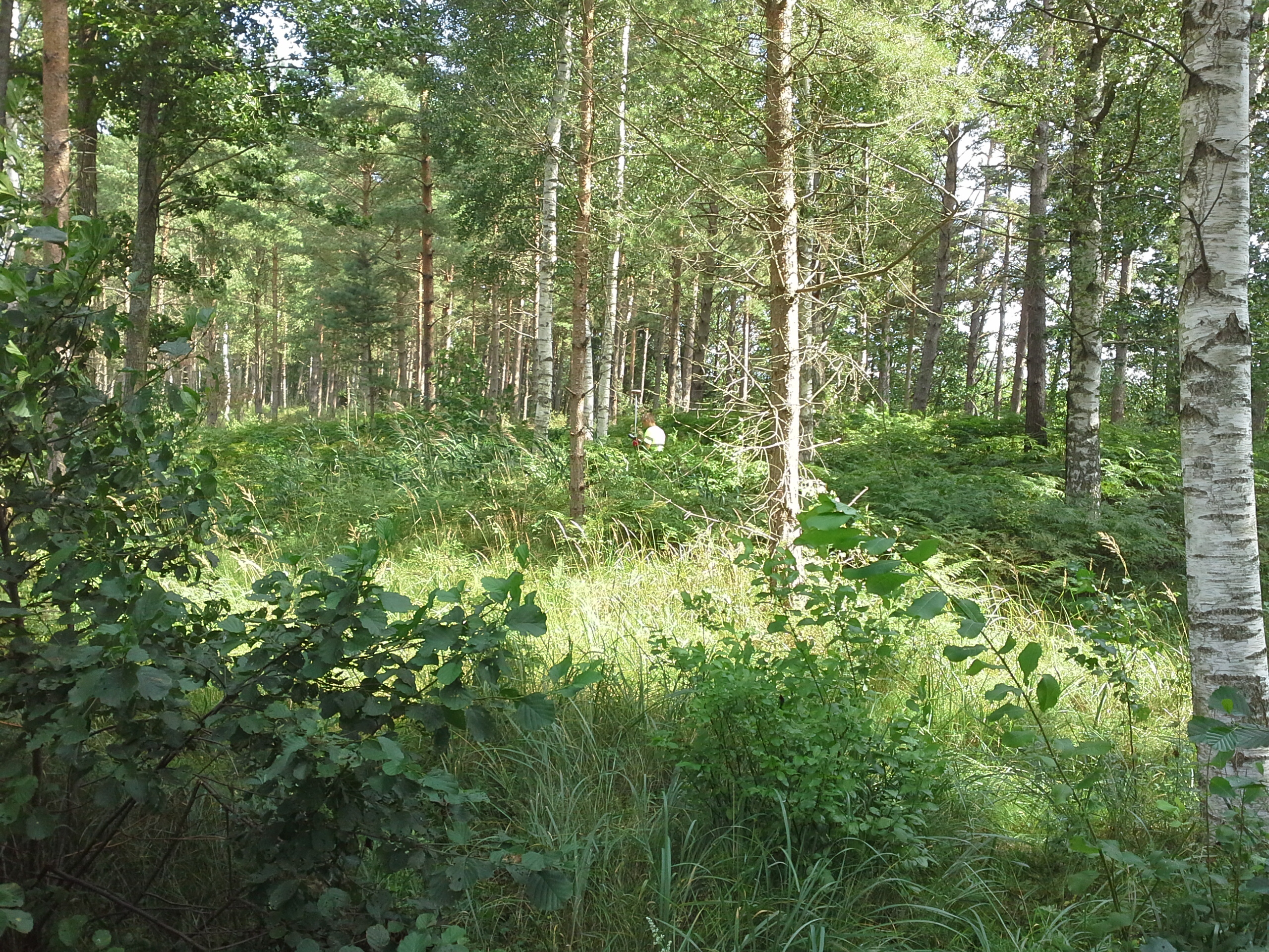 Apkārtnes foto