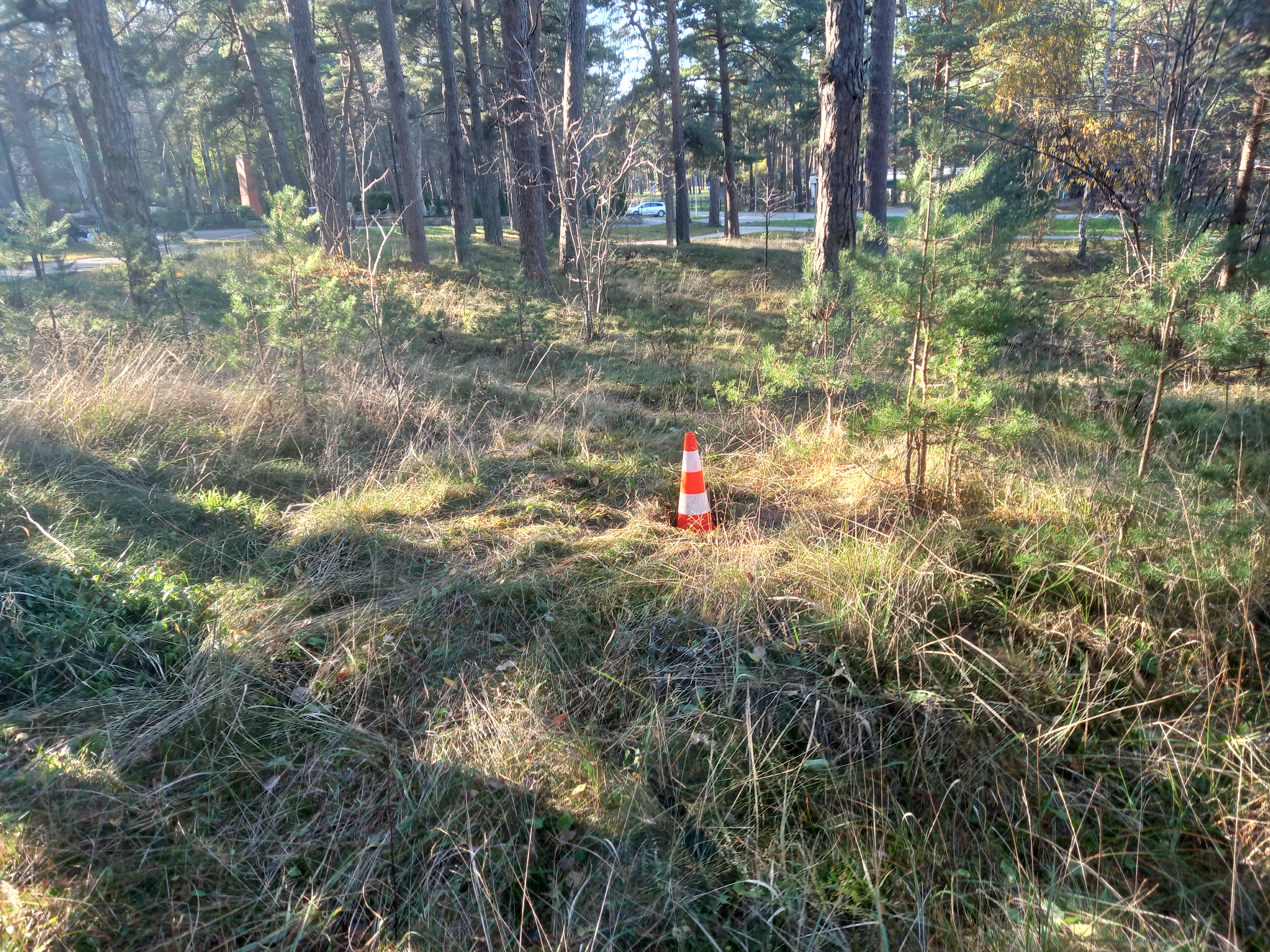 Apkārtnes foto