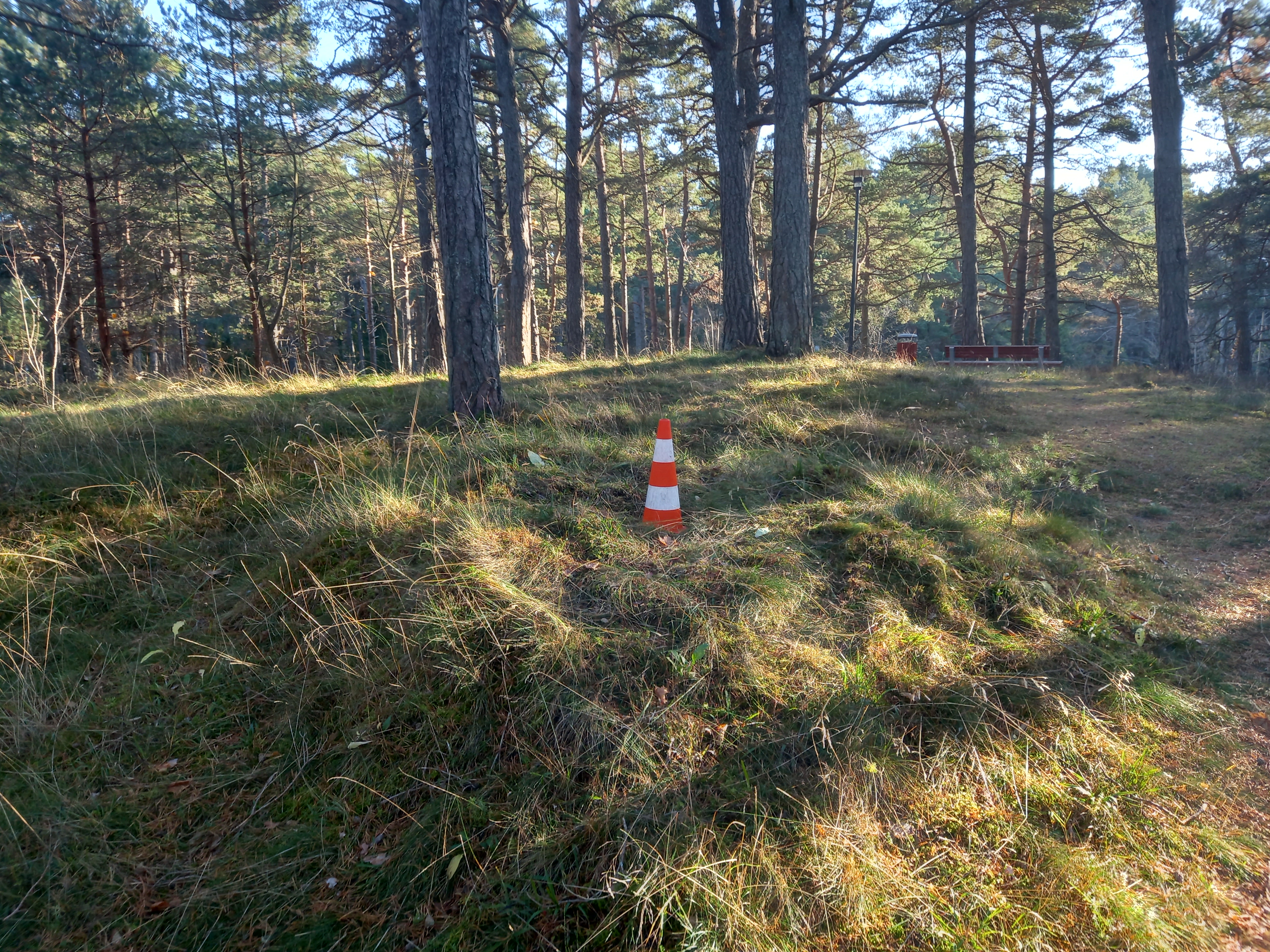 Apkārtnes foto