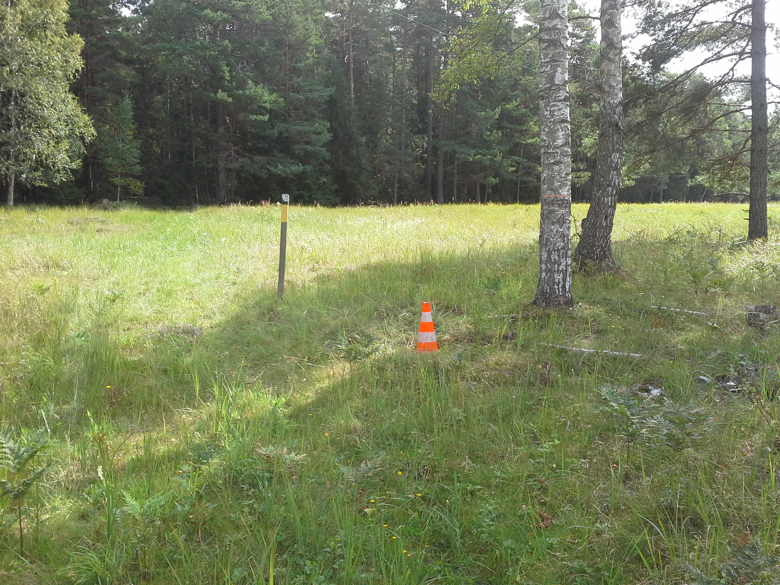 Apkārtnes foto