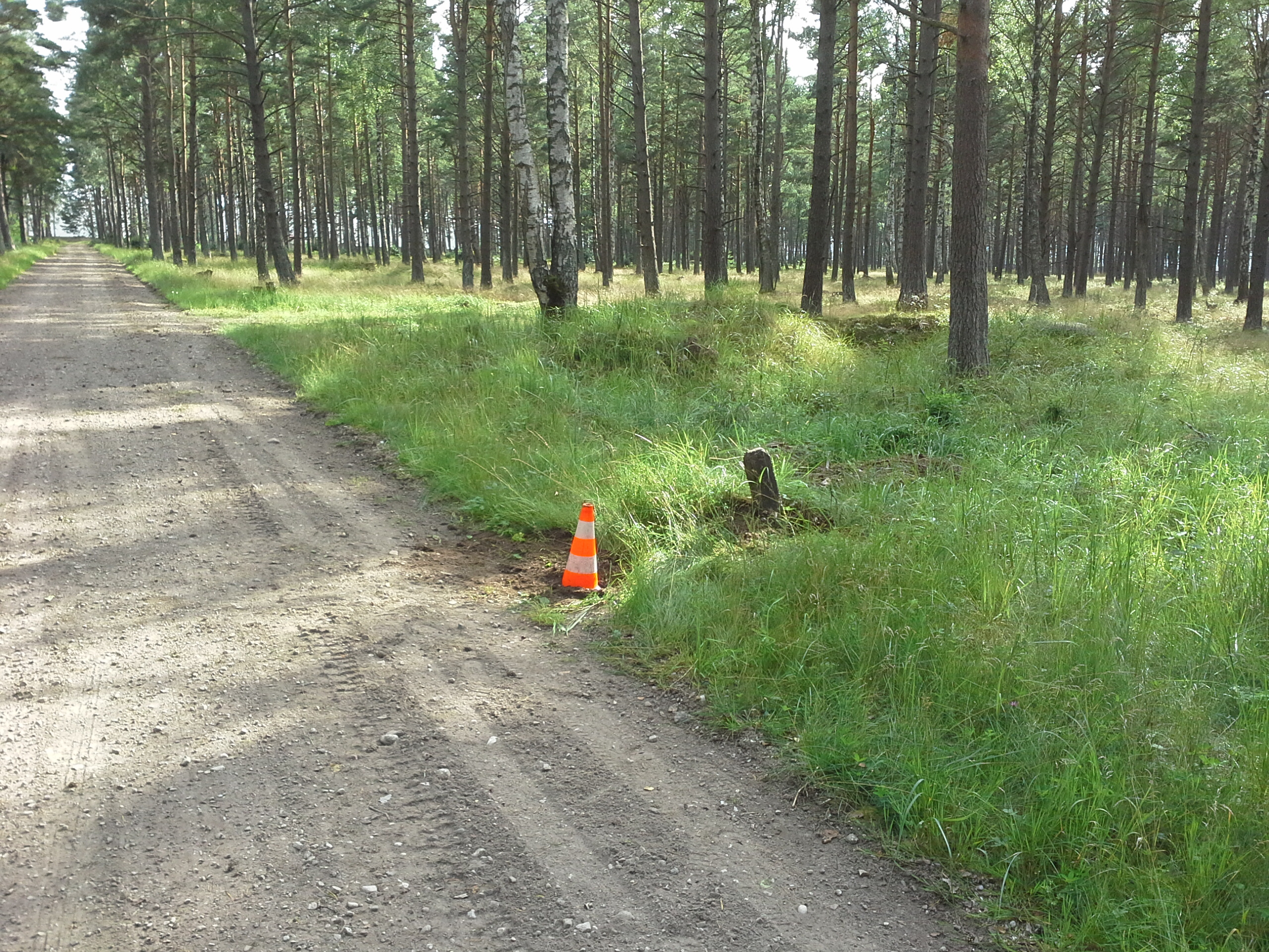 Apkārtnes foto