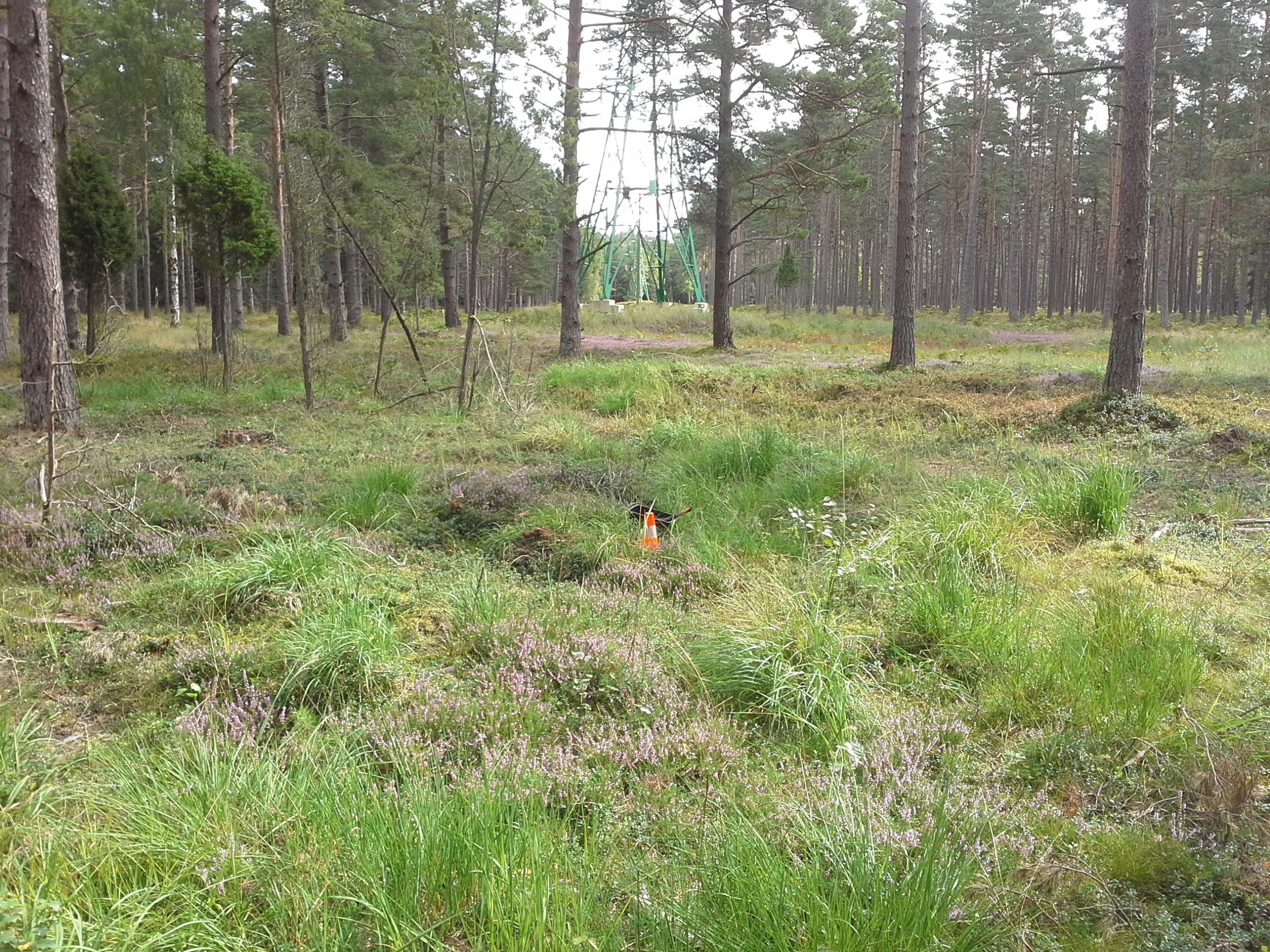 Apkārtnes foto