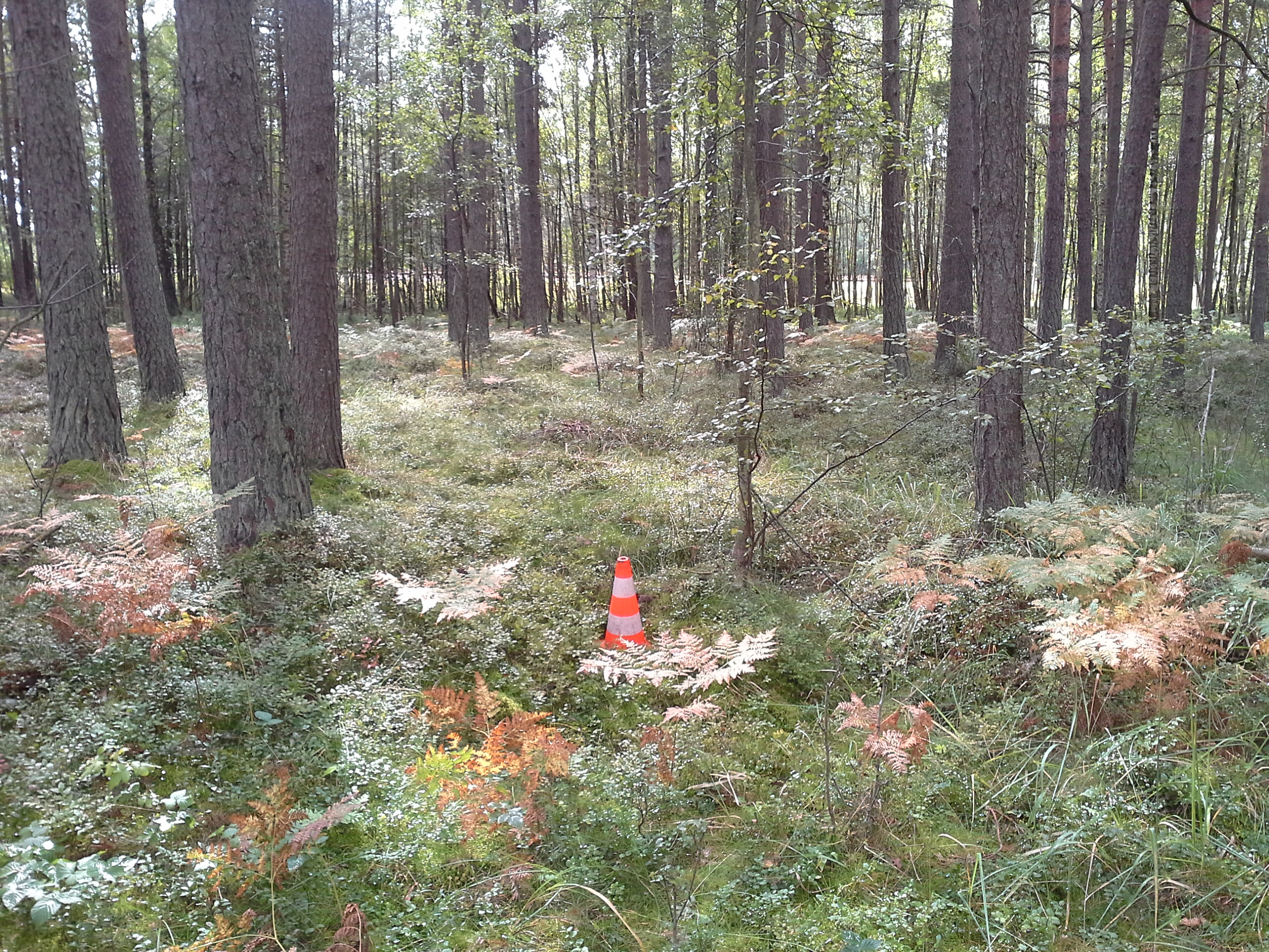 Apkārtnes foto