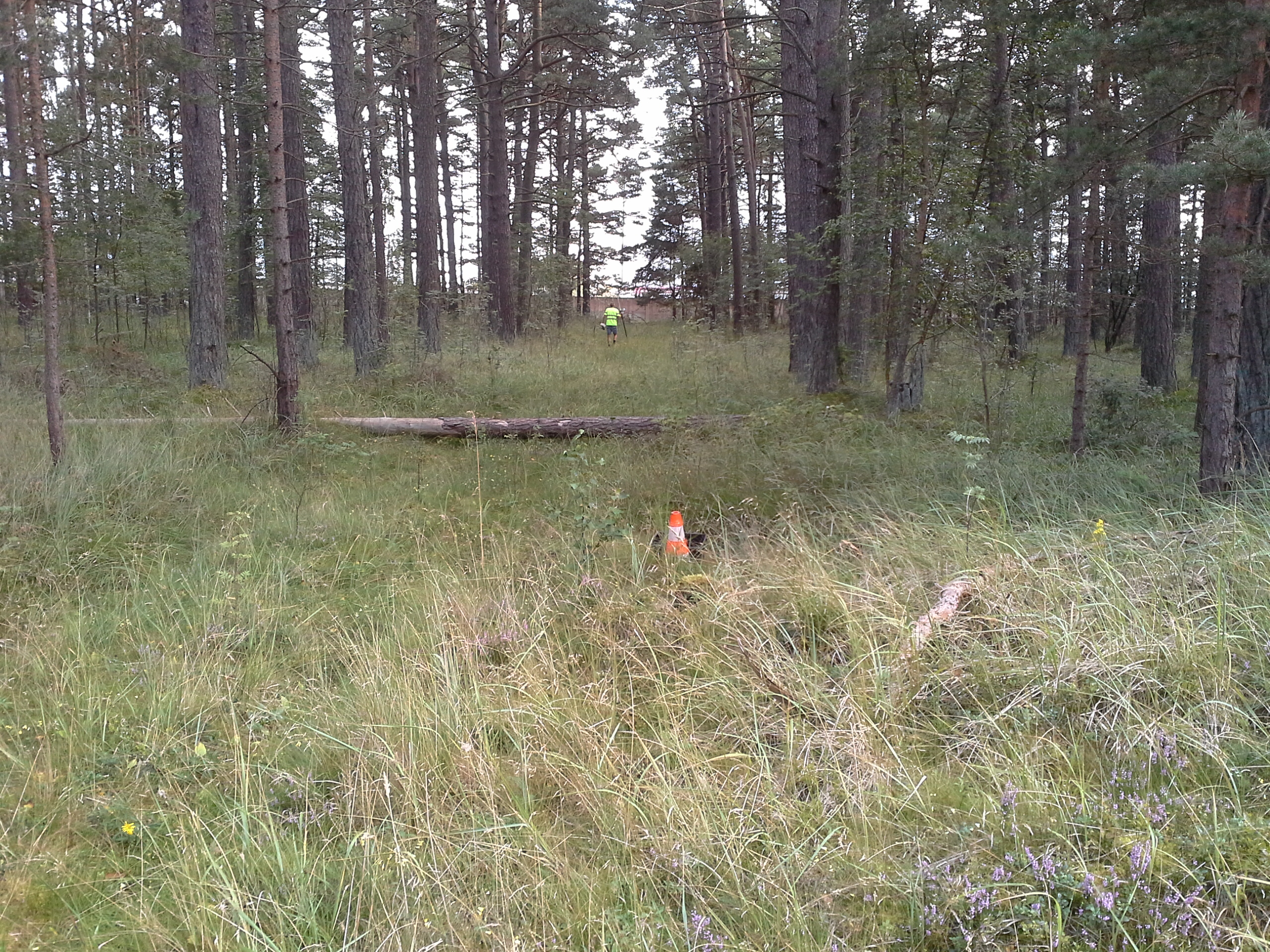 Apkārtnes foto