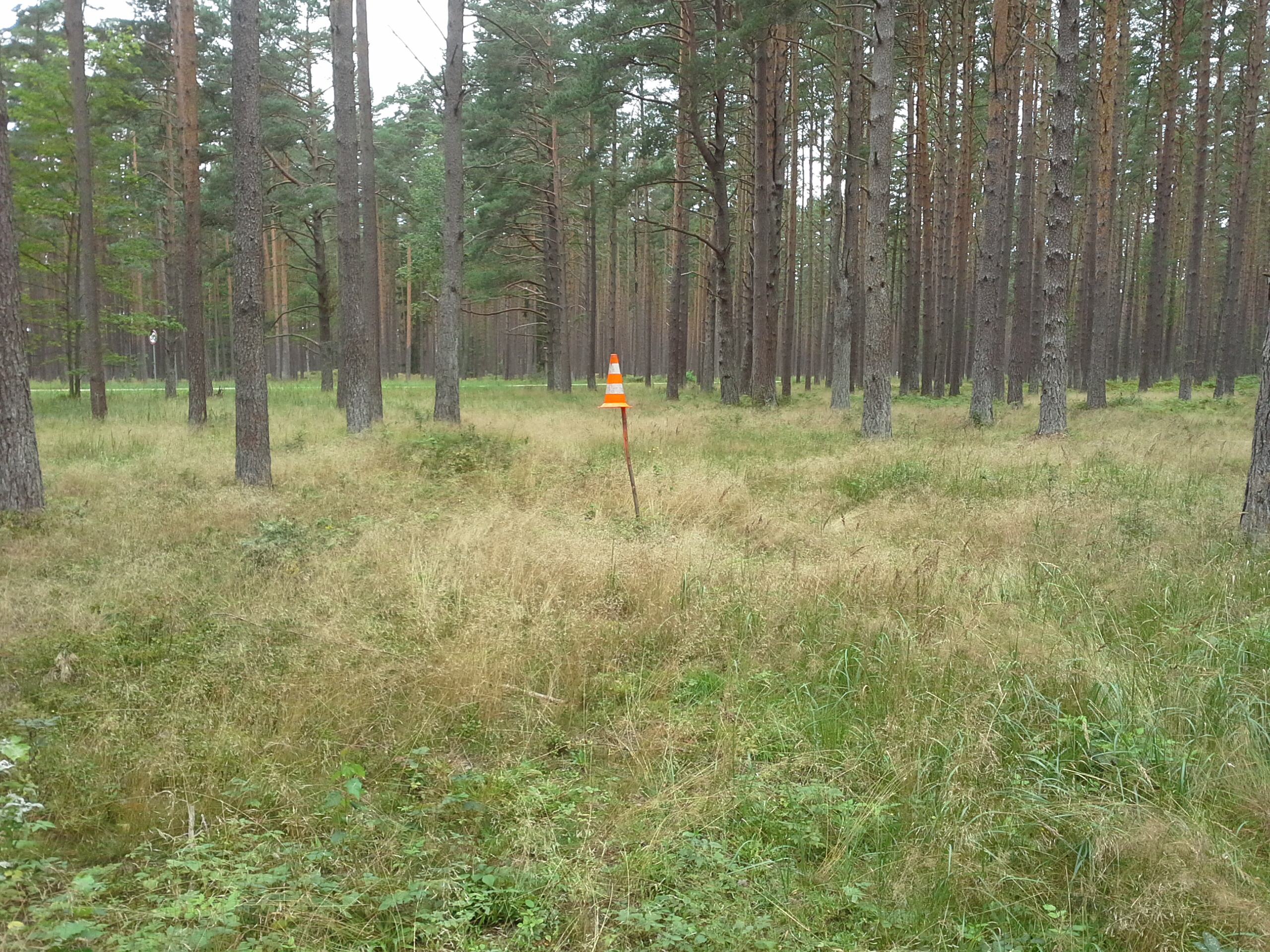 Apkārtnes foto