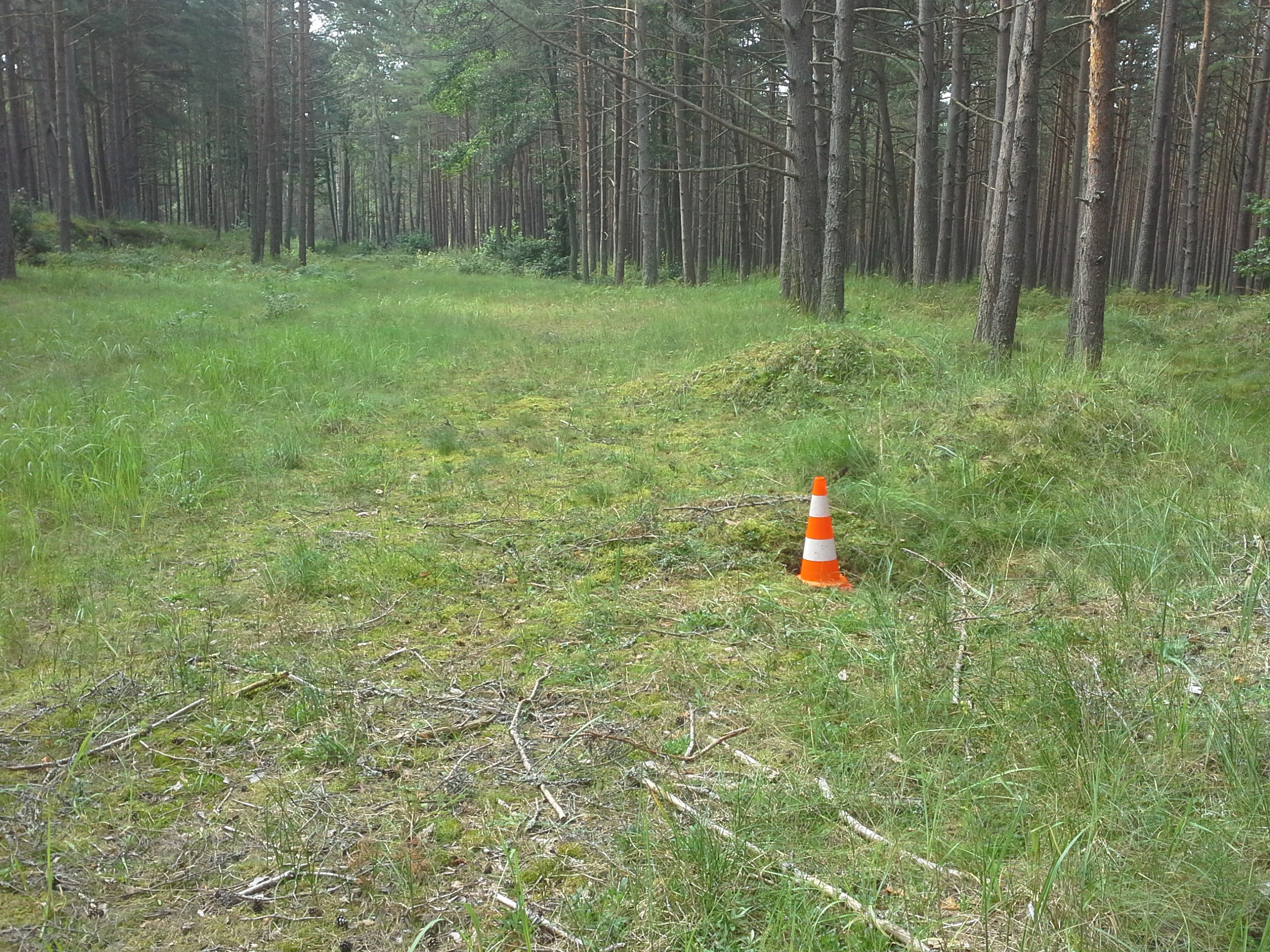 Apkārtnes foto