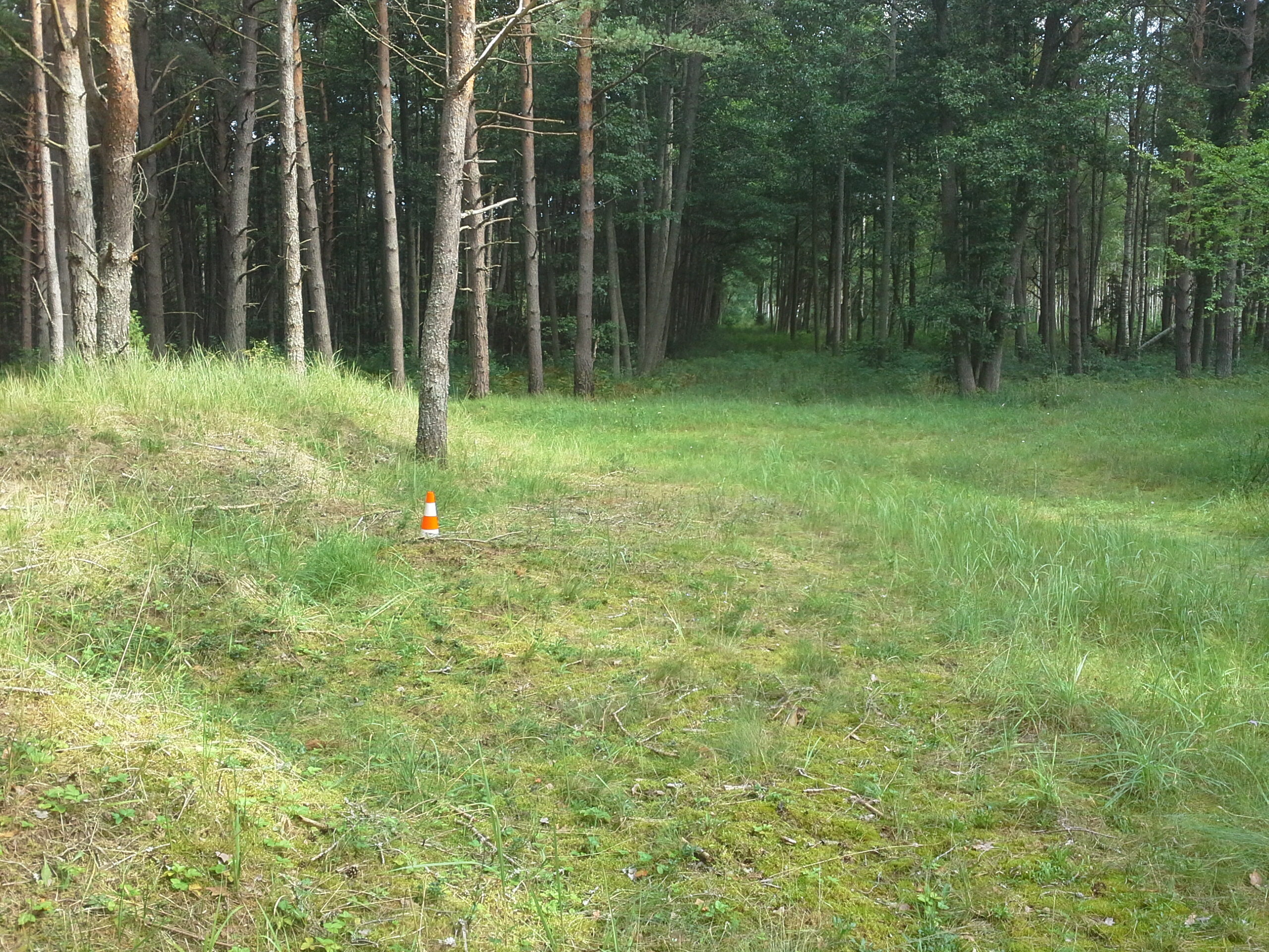 Apkārtnes foto