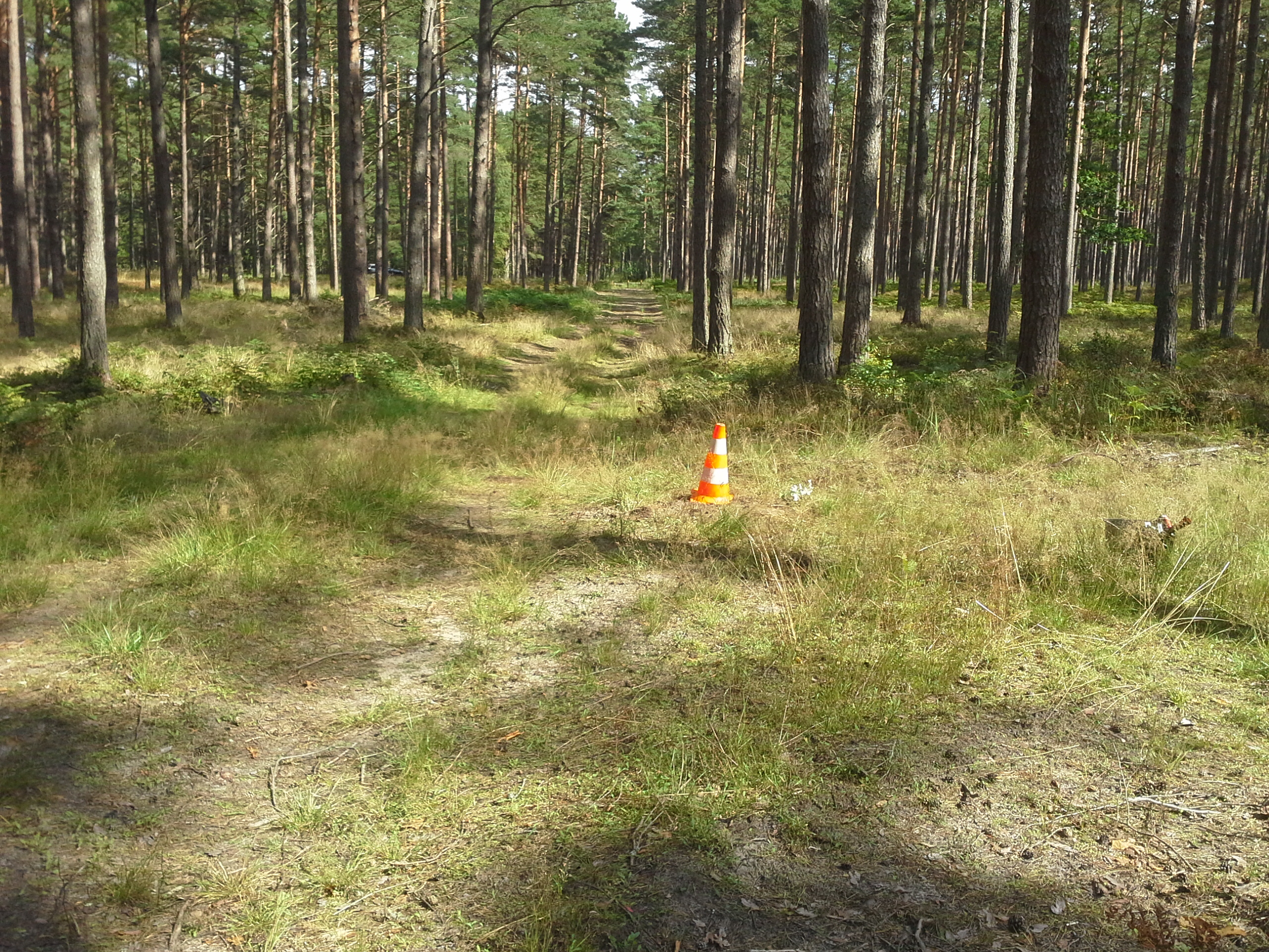 Apkārtnes foto