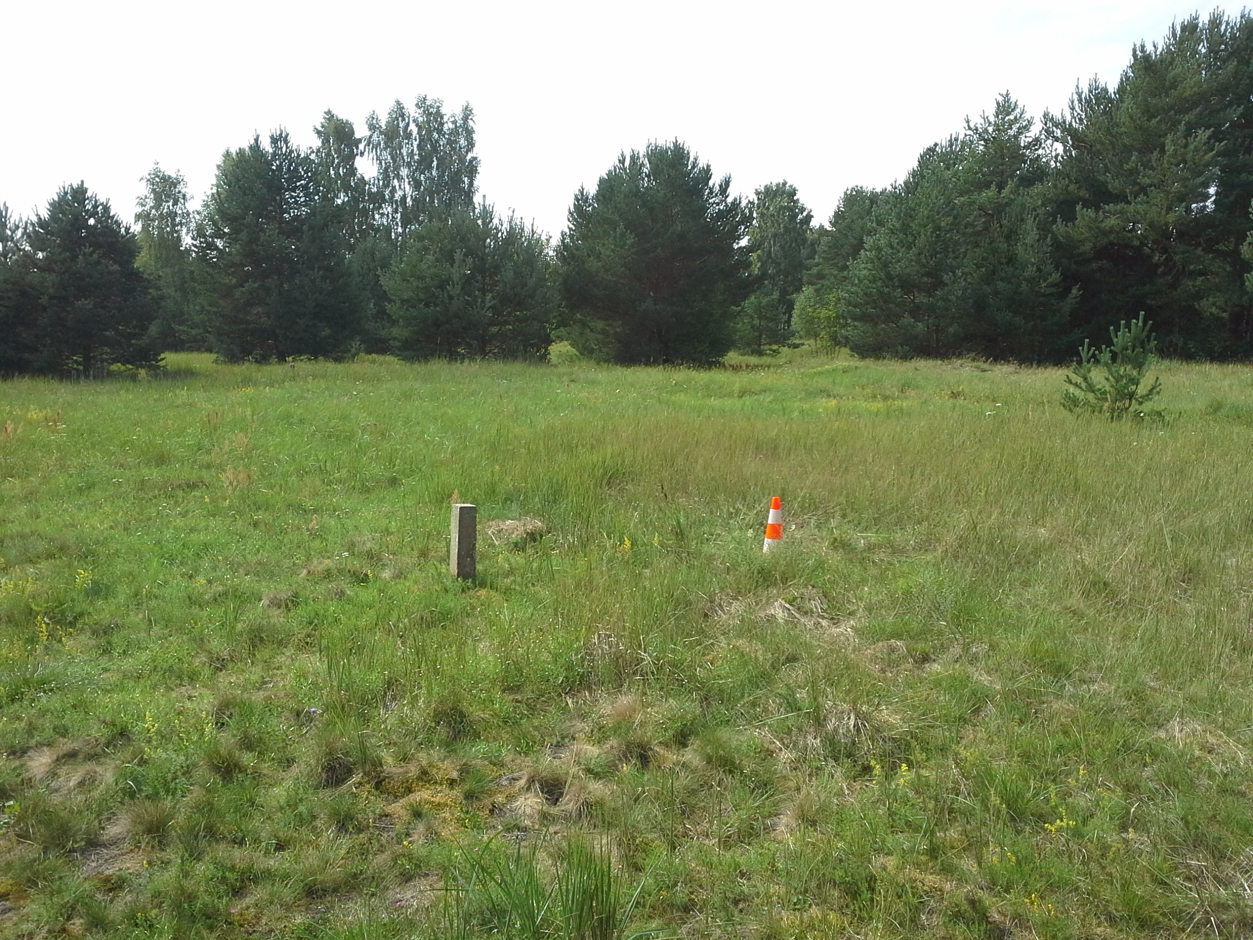 Apkārtnes foto