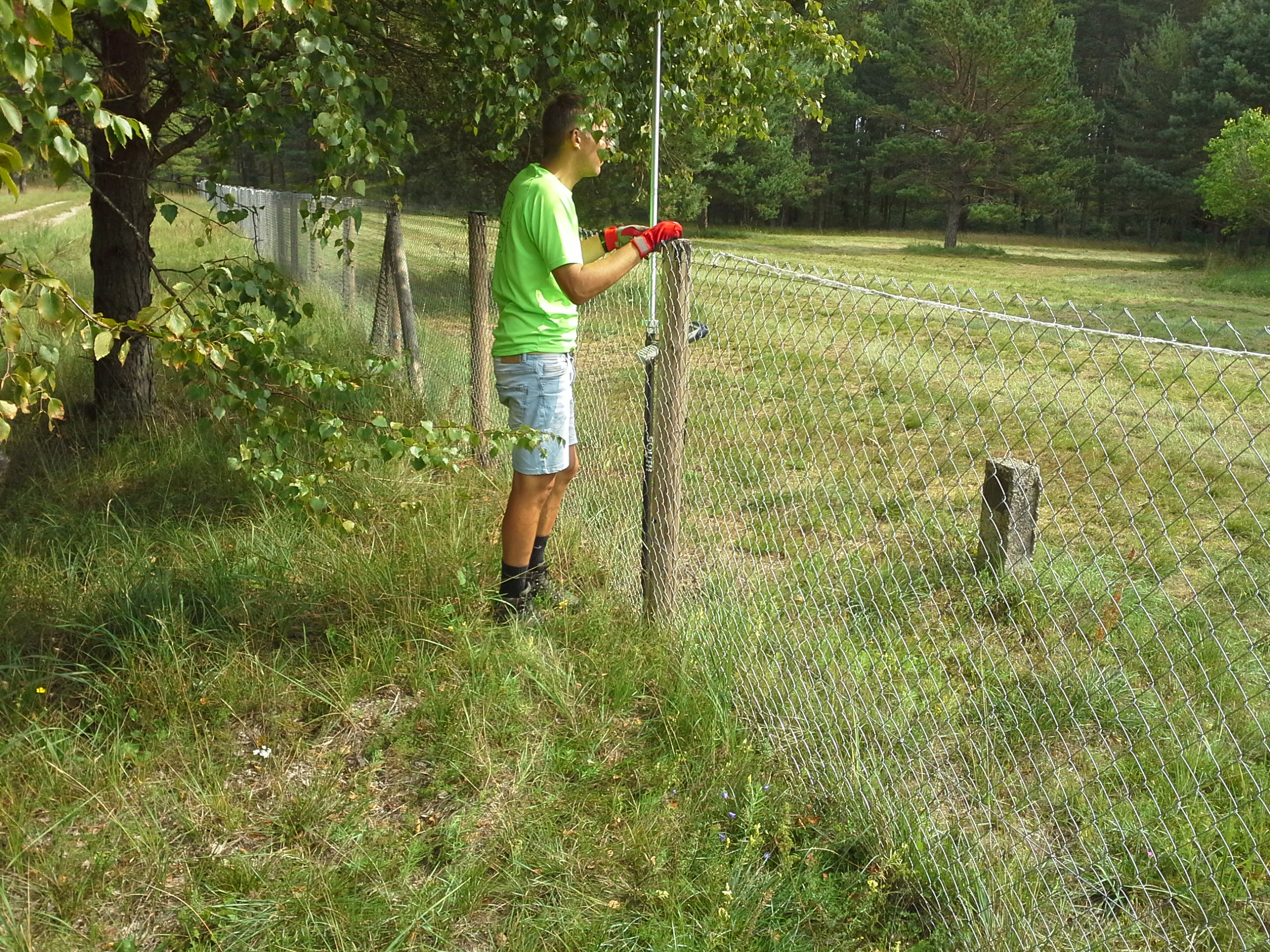 Apkārtnes foto