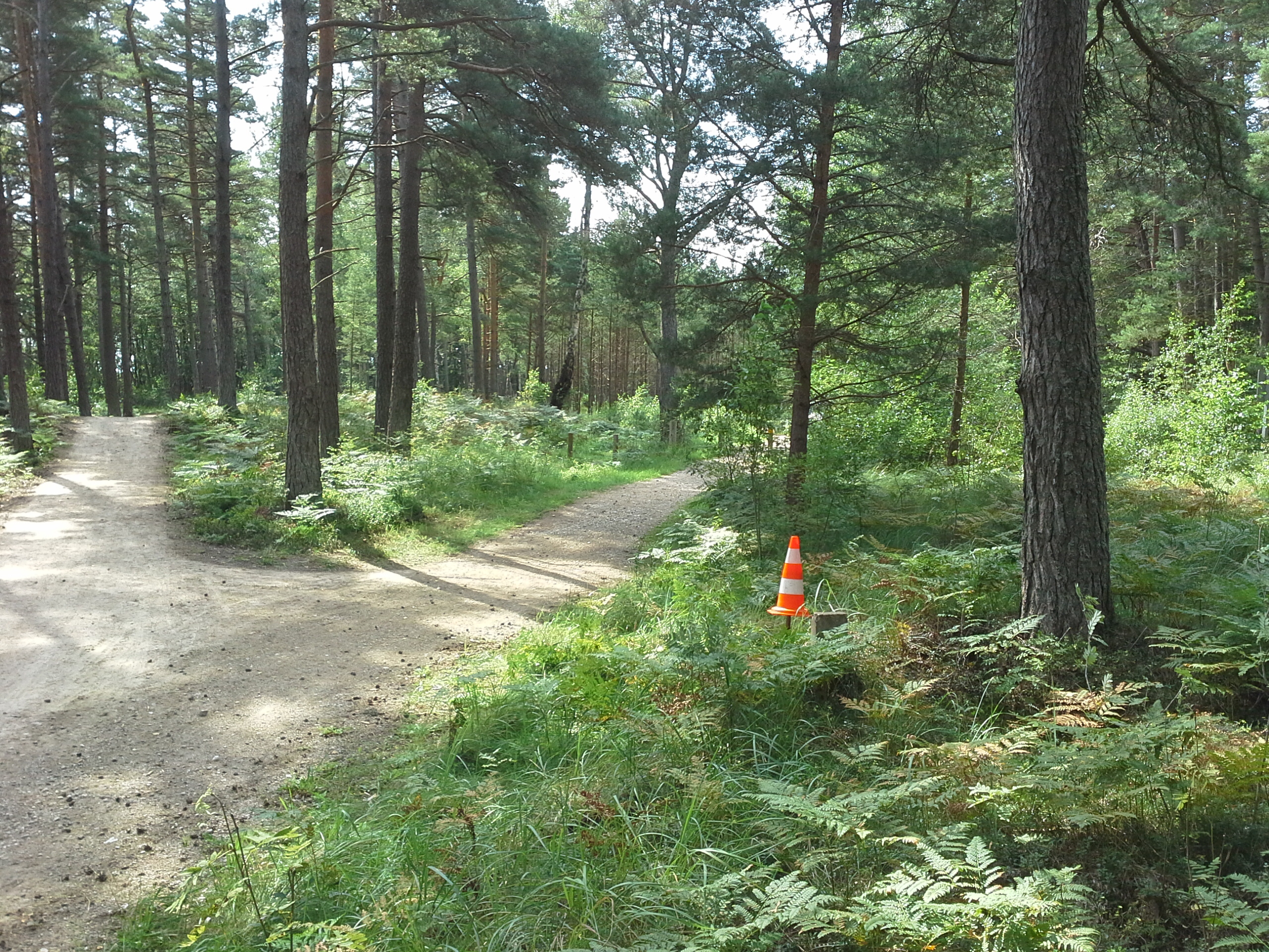 Apkārtnes foto