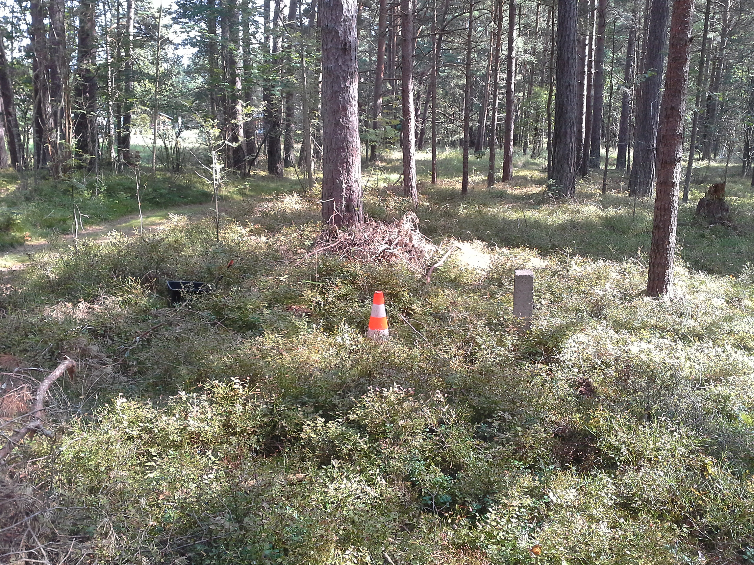 Apkārtnes foto