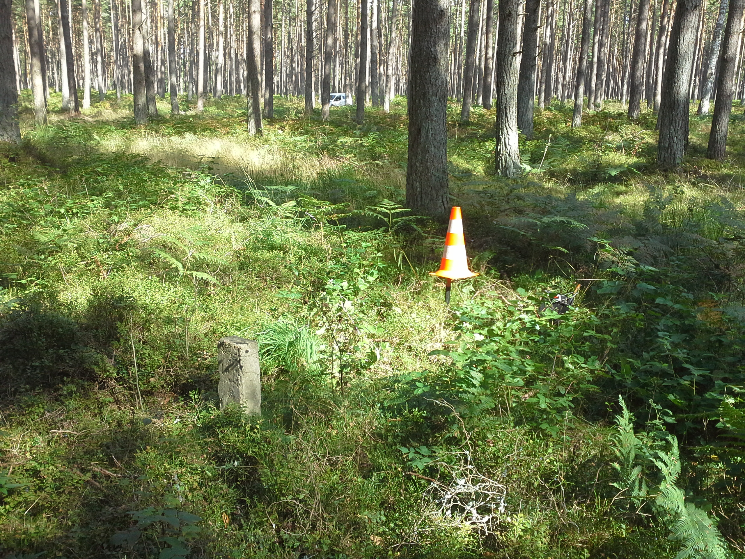 Apkārtnes foto