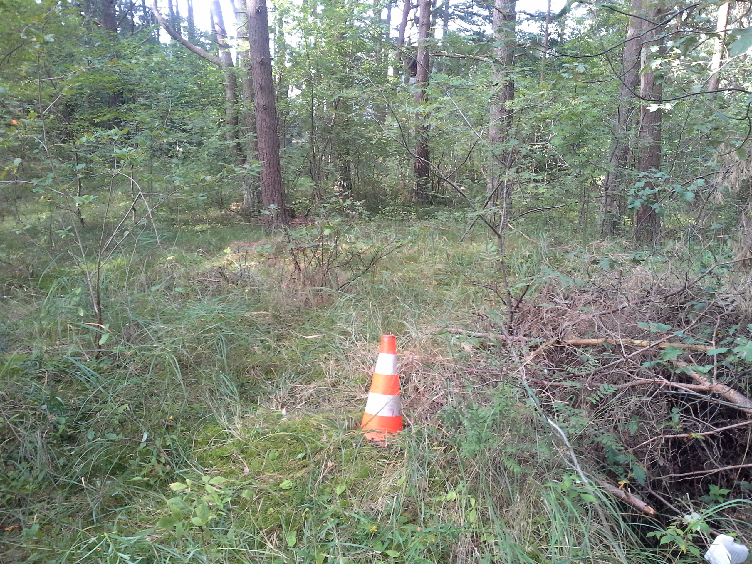Apkārtnes foto