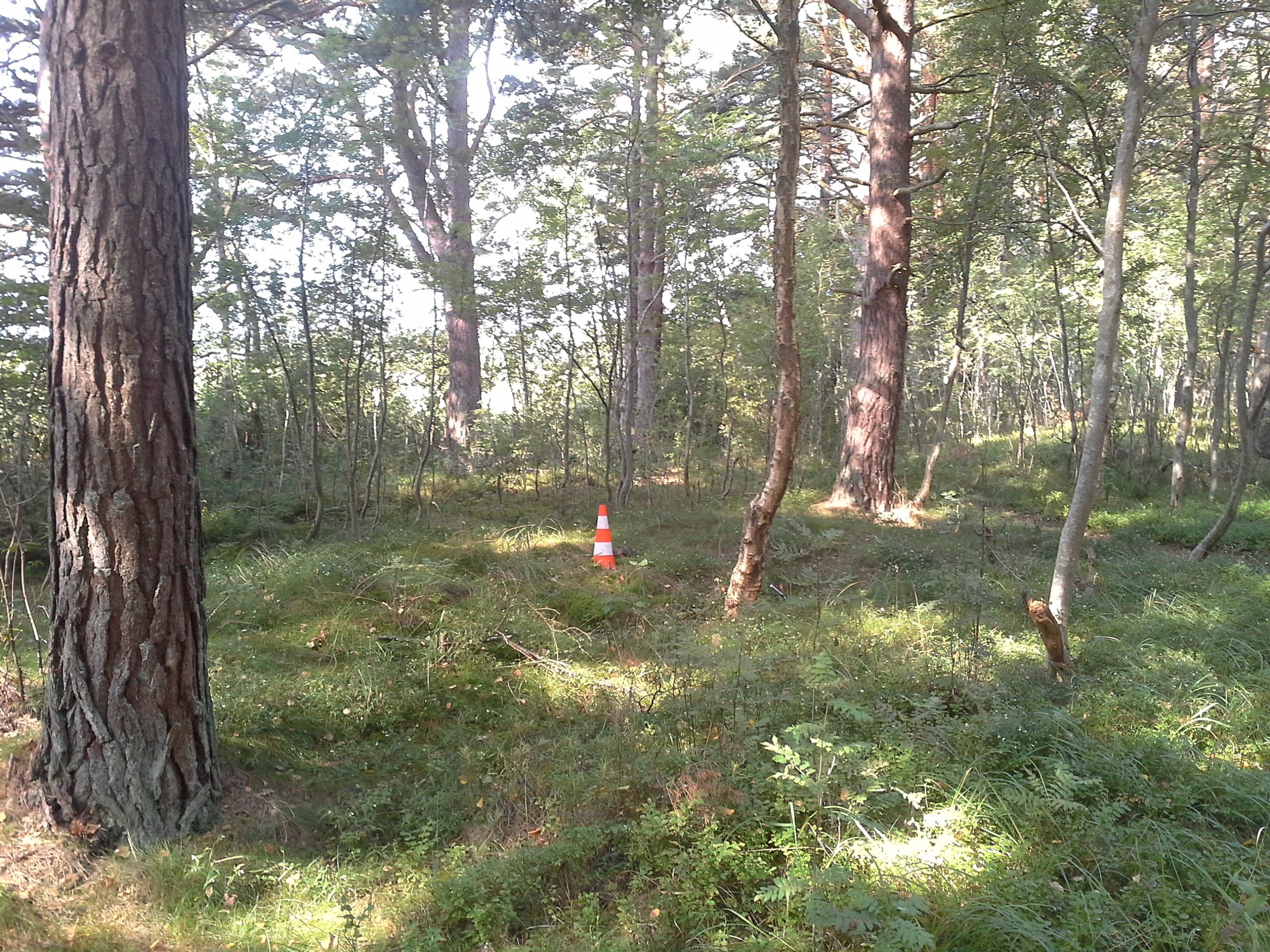 Apkārtnes foto