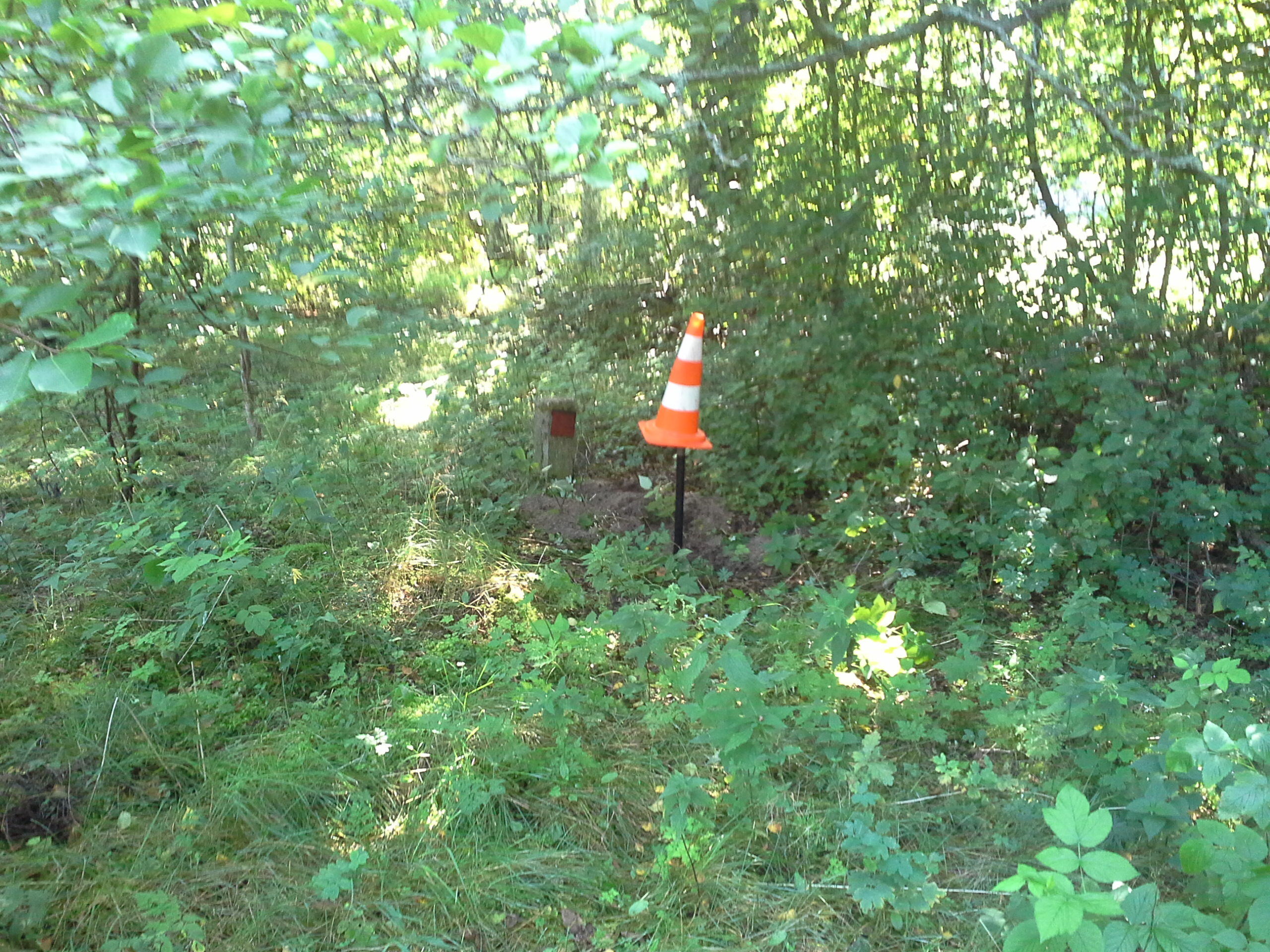 Apkārtnes foto