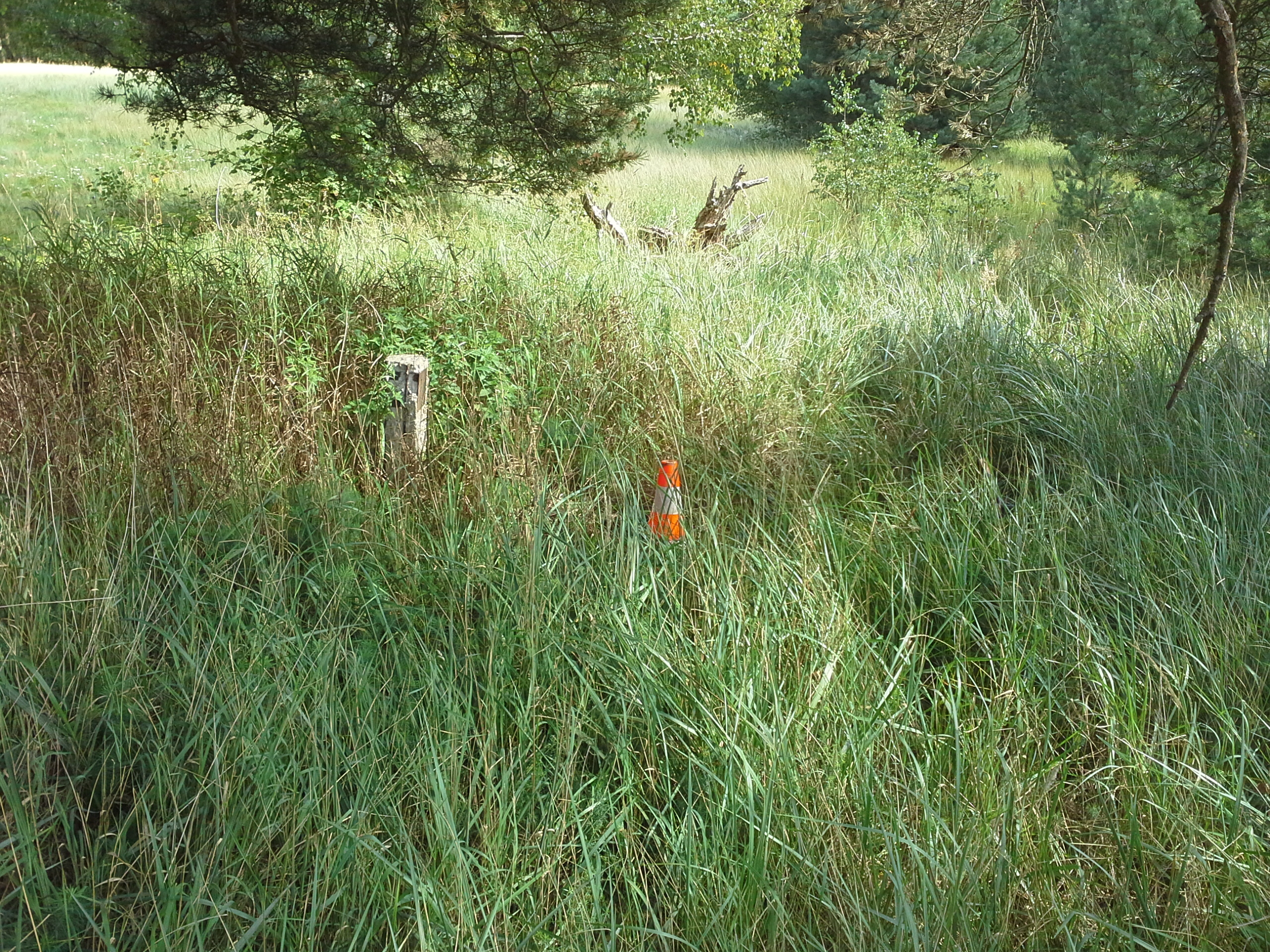 Apkārtnes foto