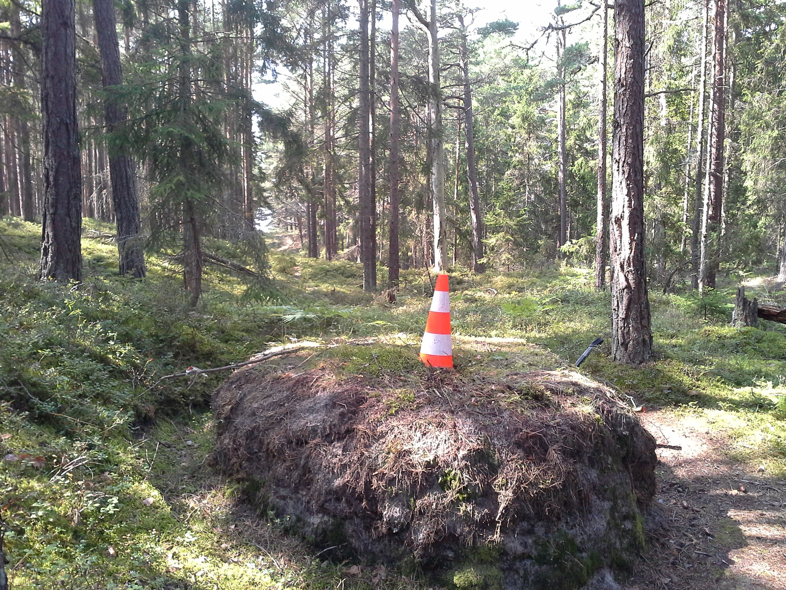 Apkārtnes foto