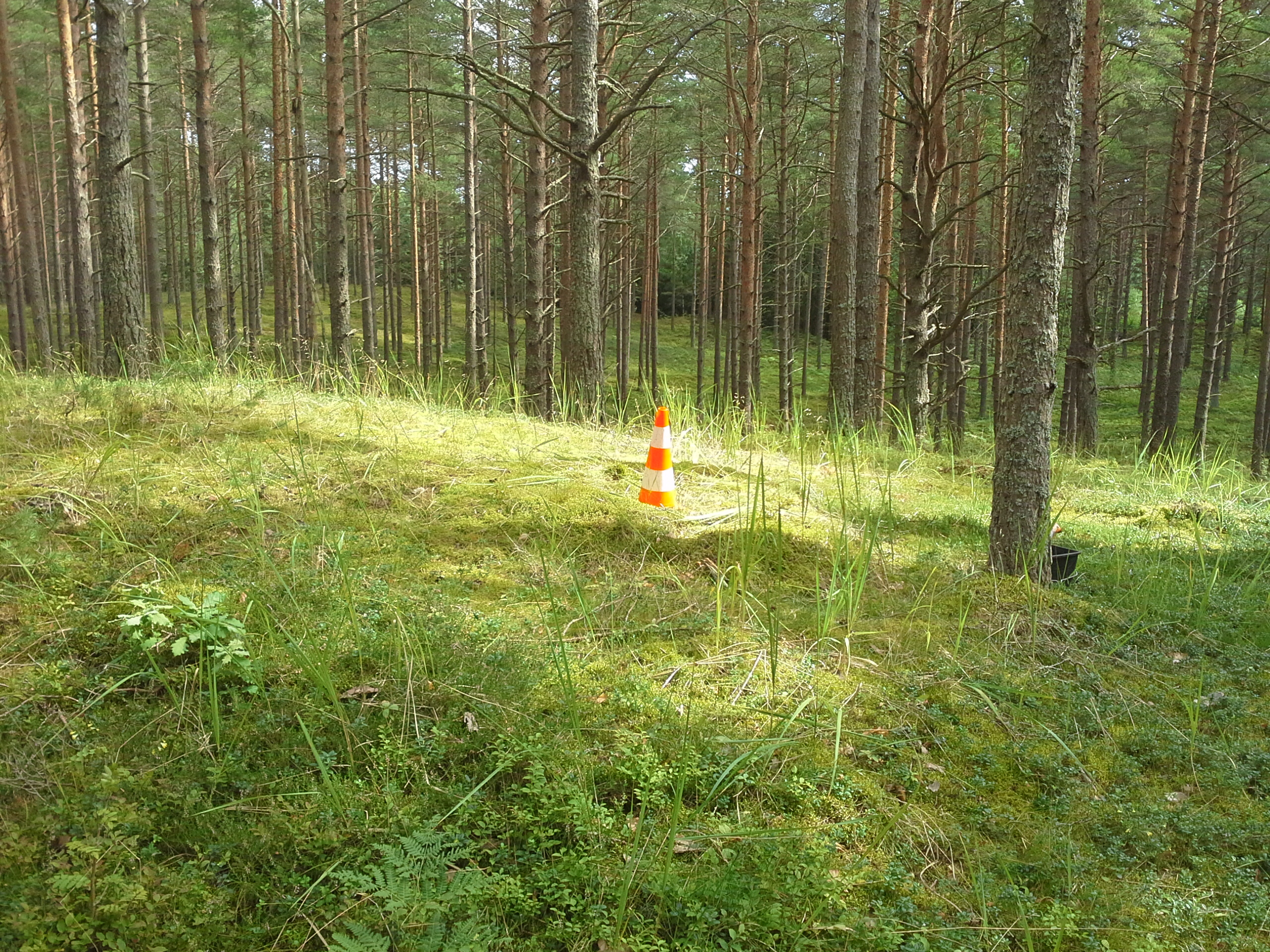 Apkārtnes foto