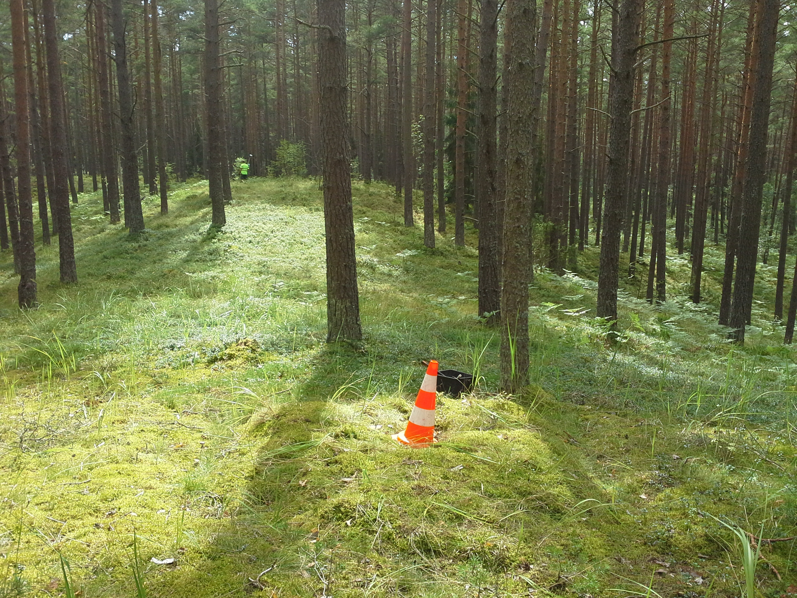 Apkārtnes foto