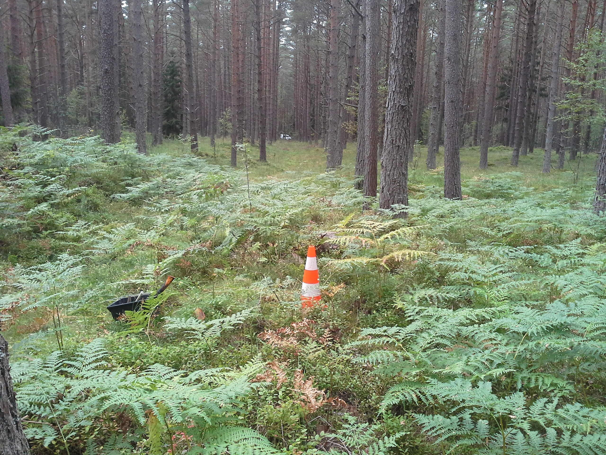 Apkārtnes foto