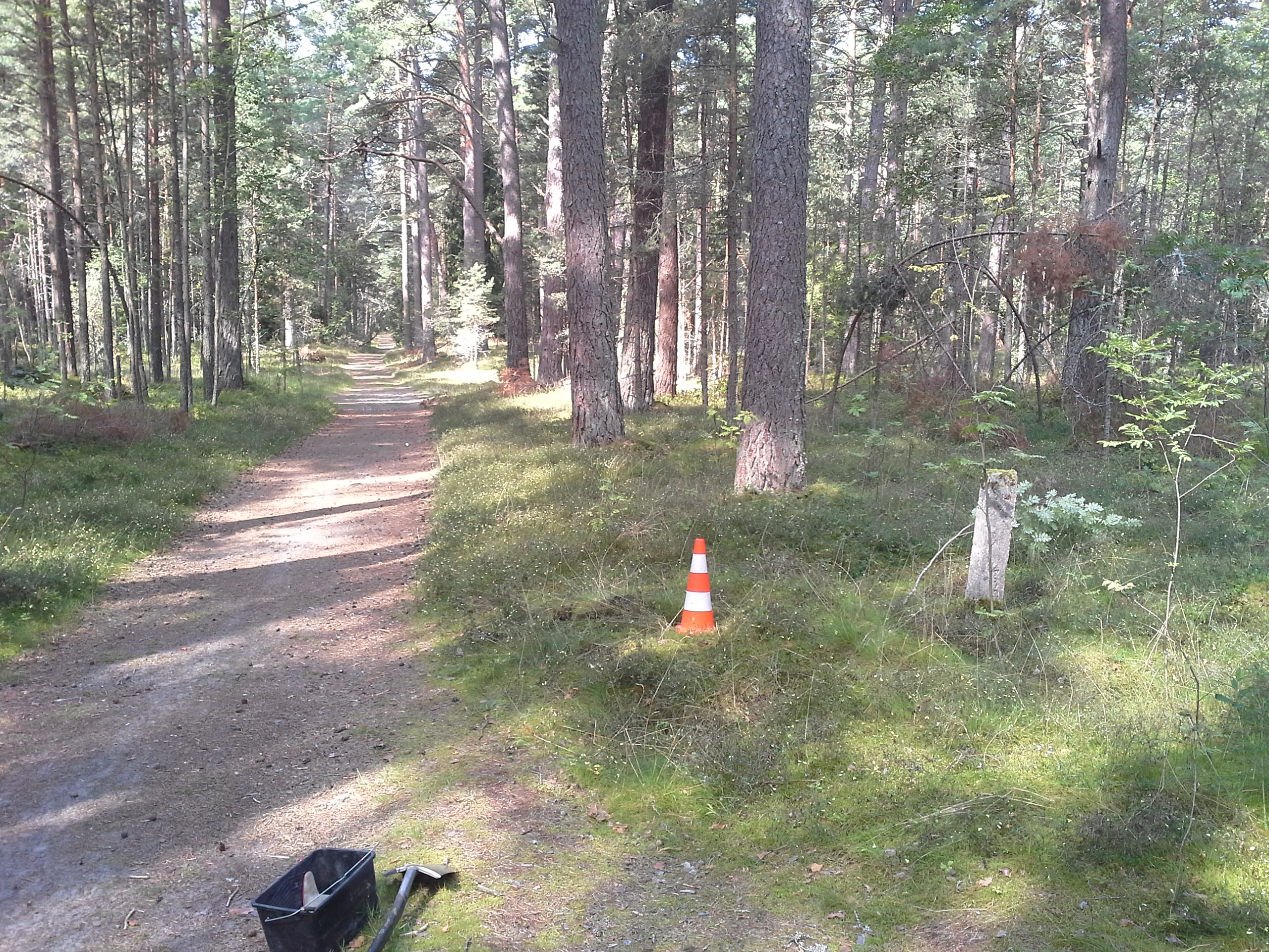 Apkārtnes foto