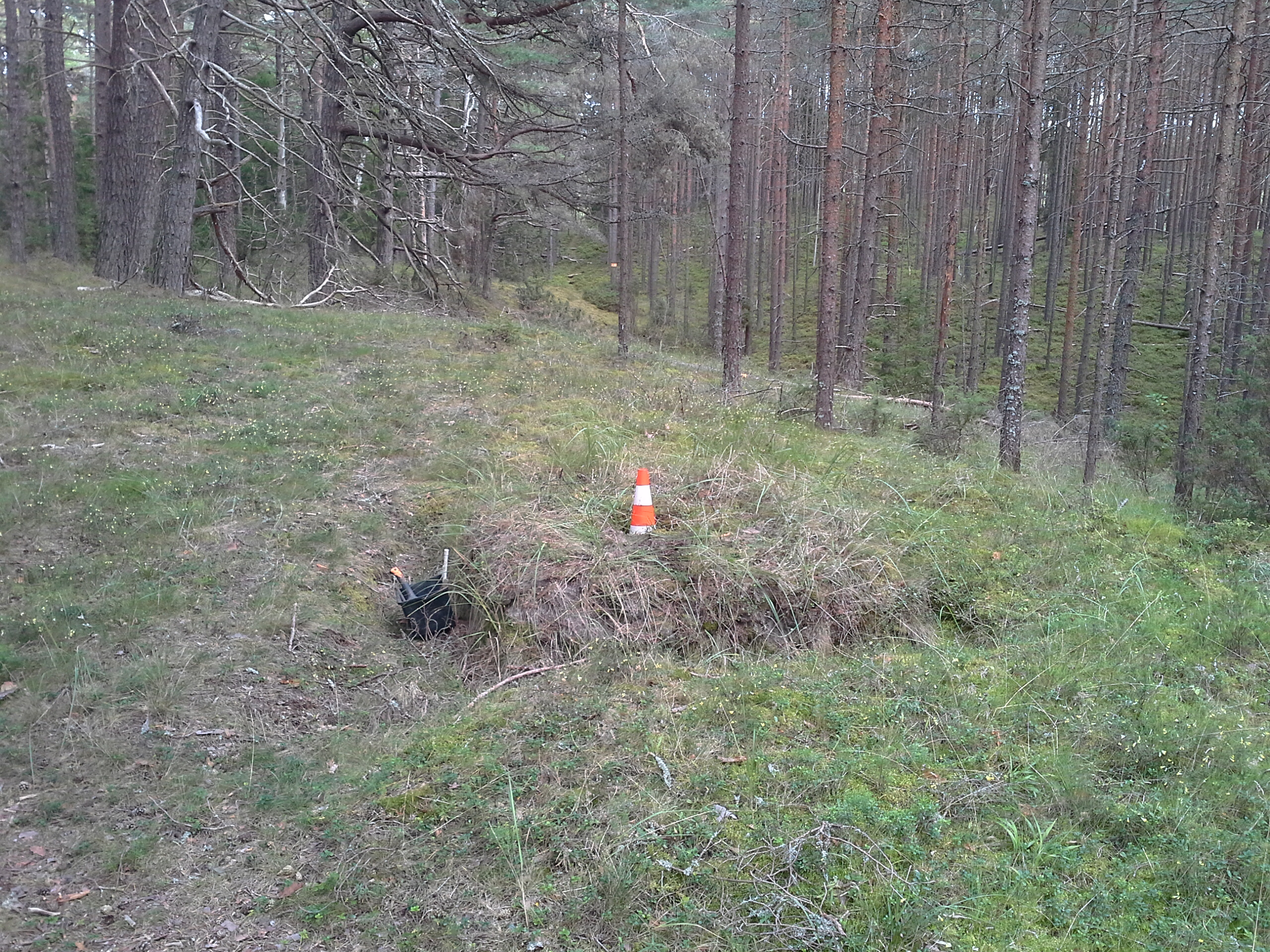 Apkārtnes foto
