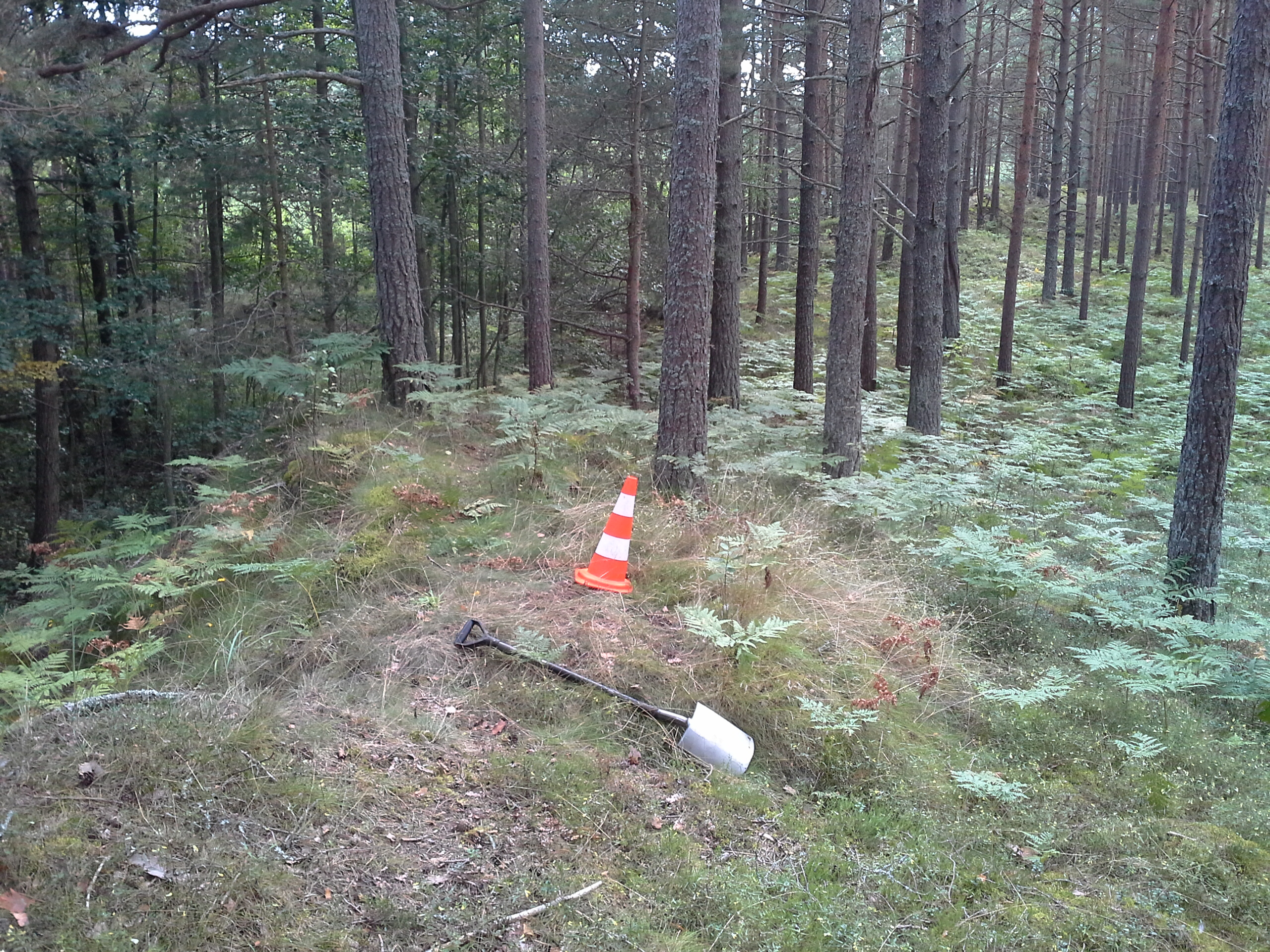 Apkārtnes foto