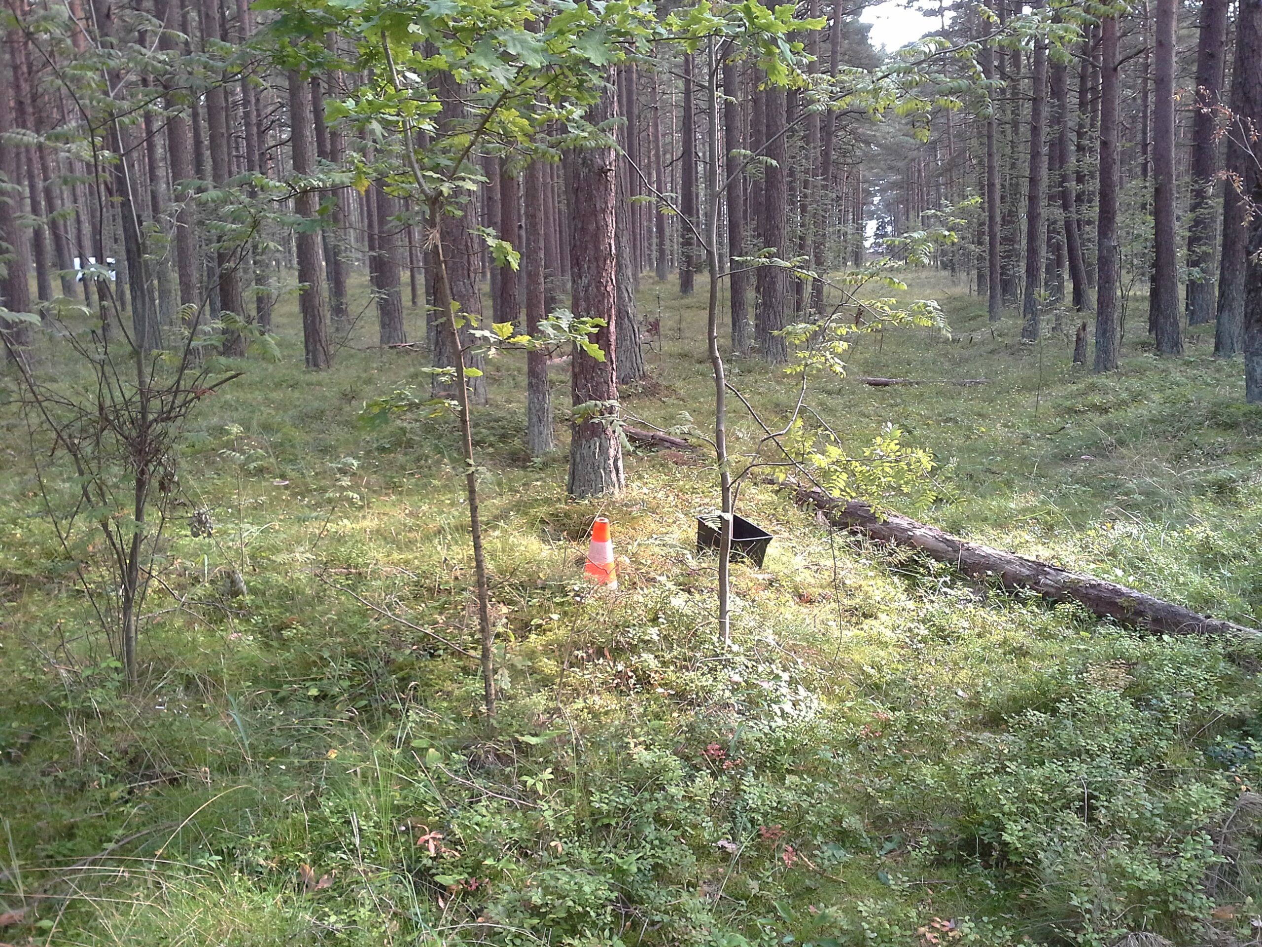 Apkārtnes foto