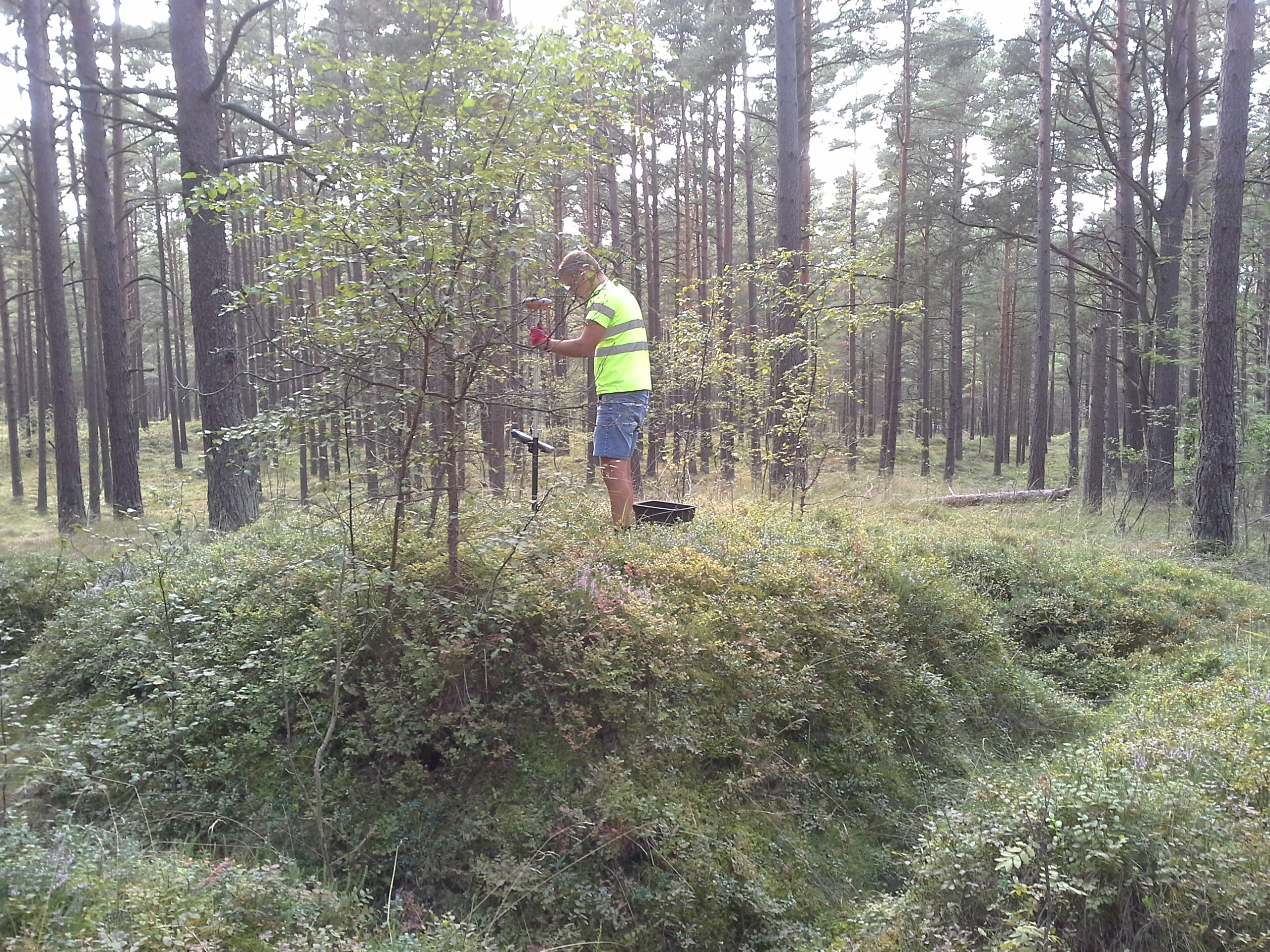 Apkārtnes foto