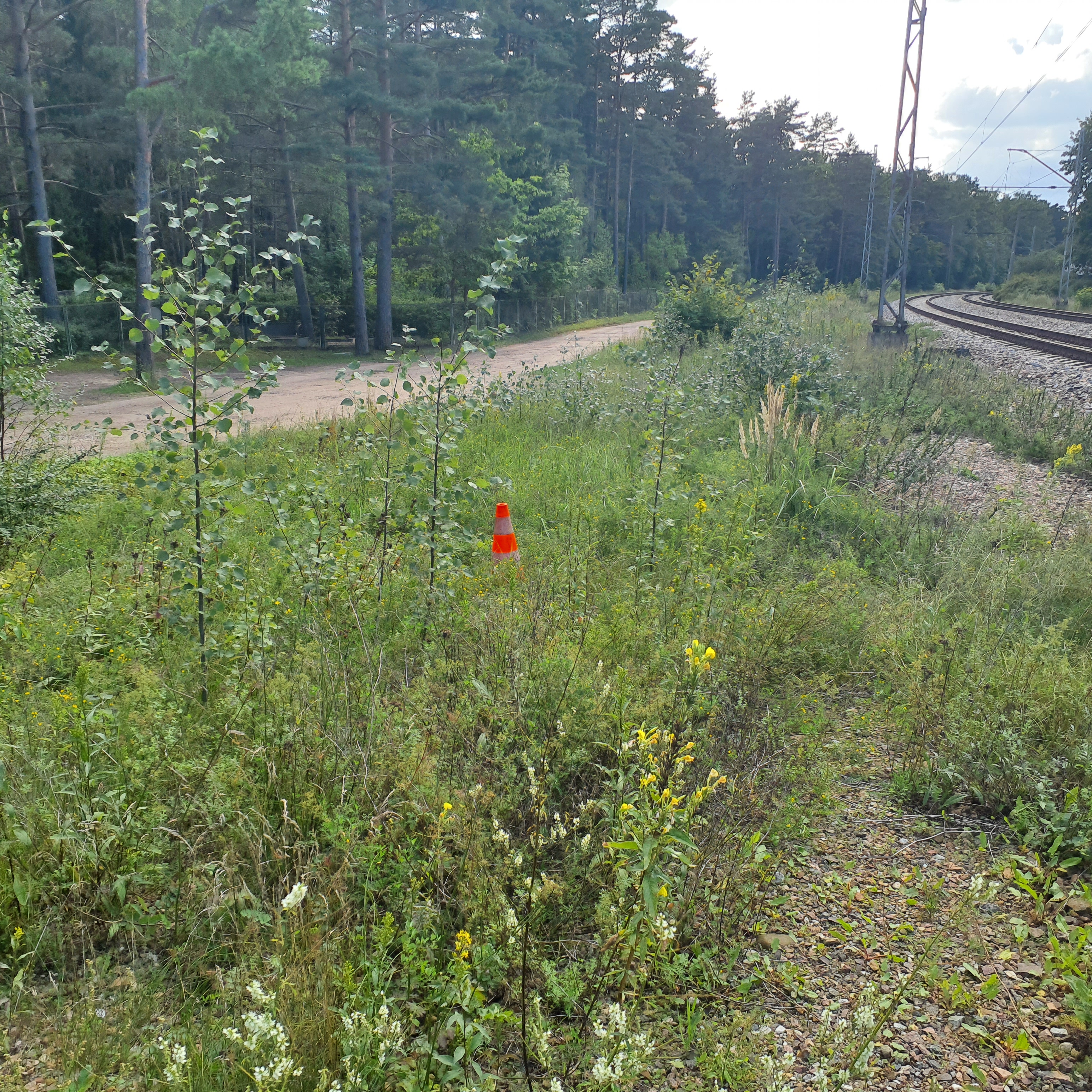 Apkārtnes foto