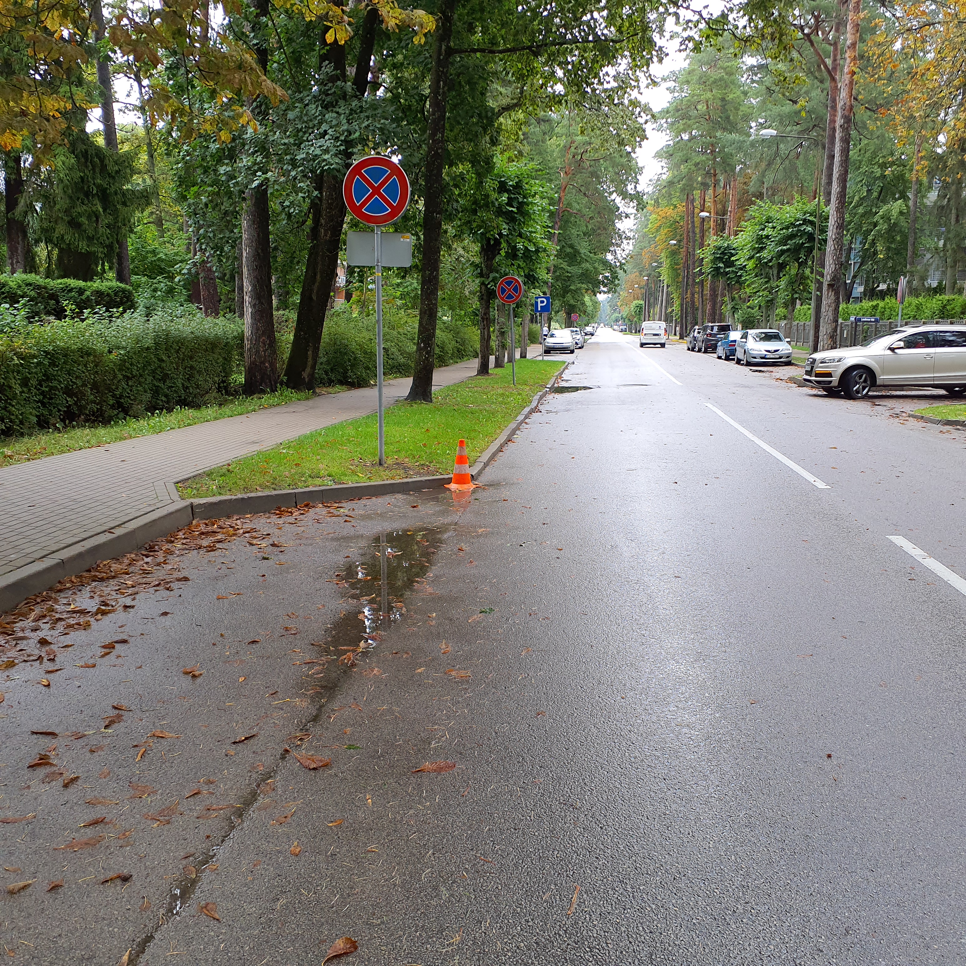 Apkārtnes foto