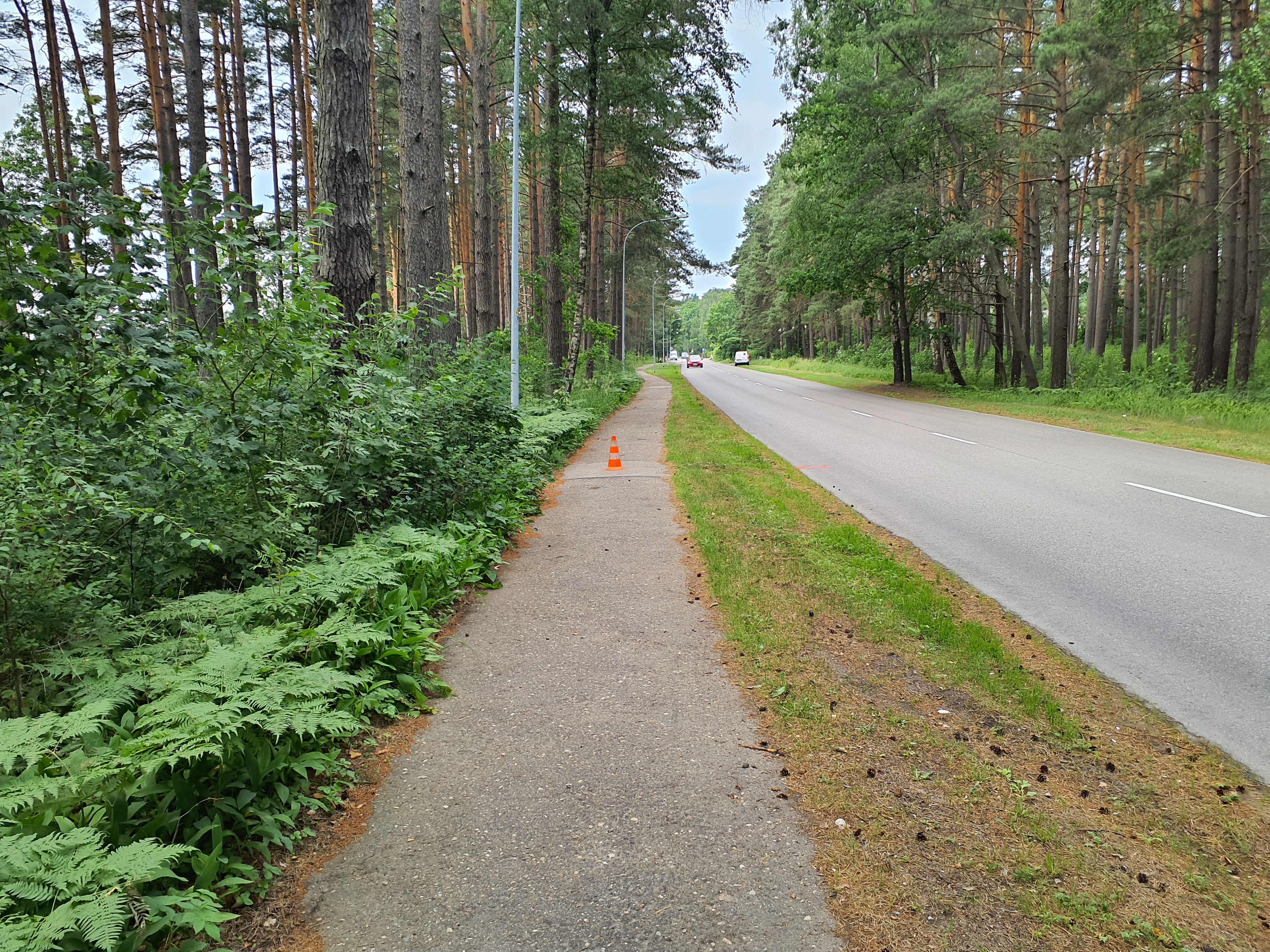 Apkārtnes foto