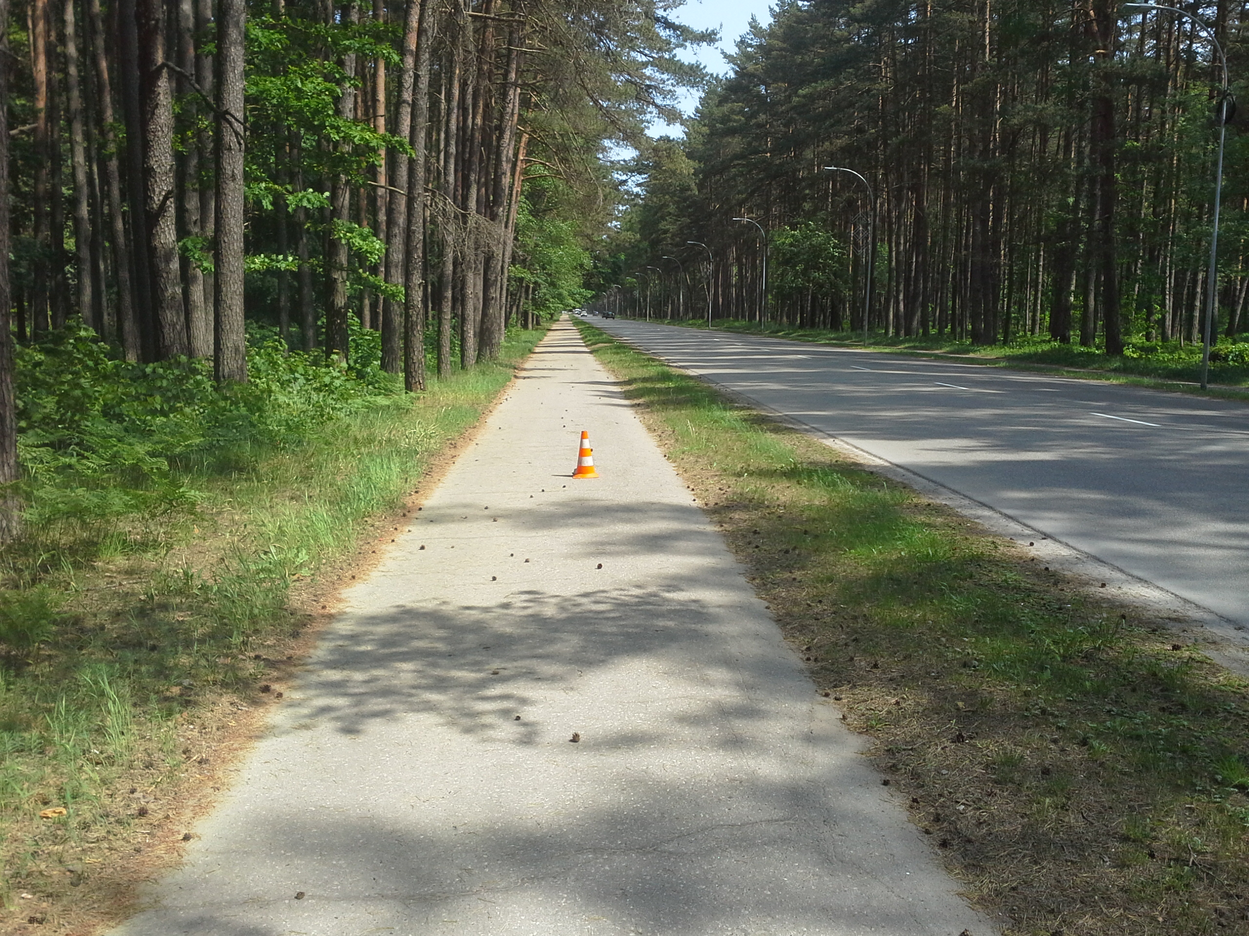 Apkārtnes foto