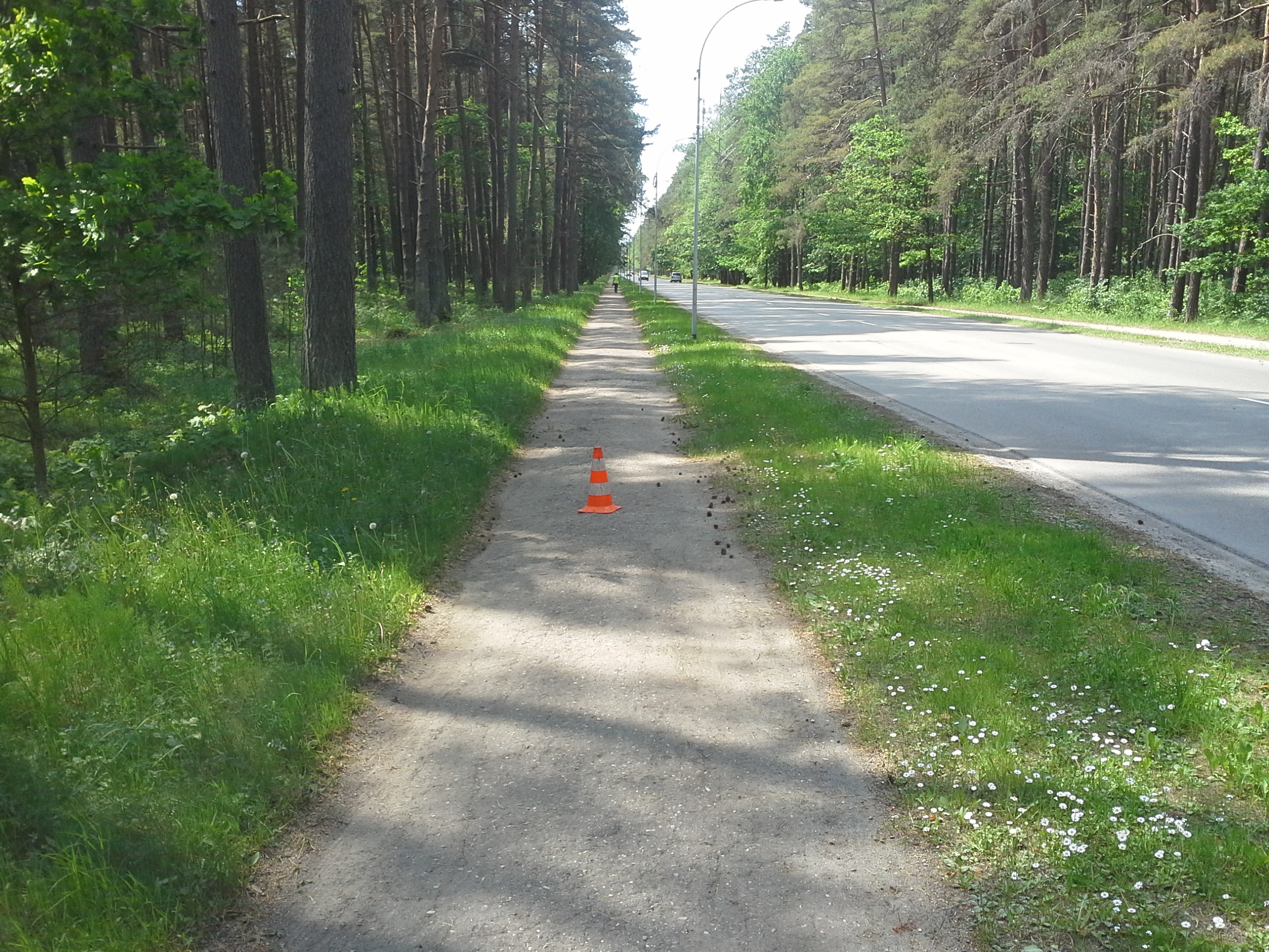 Apkārtnes foto