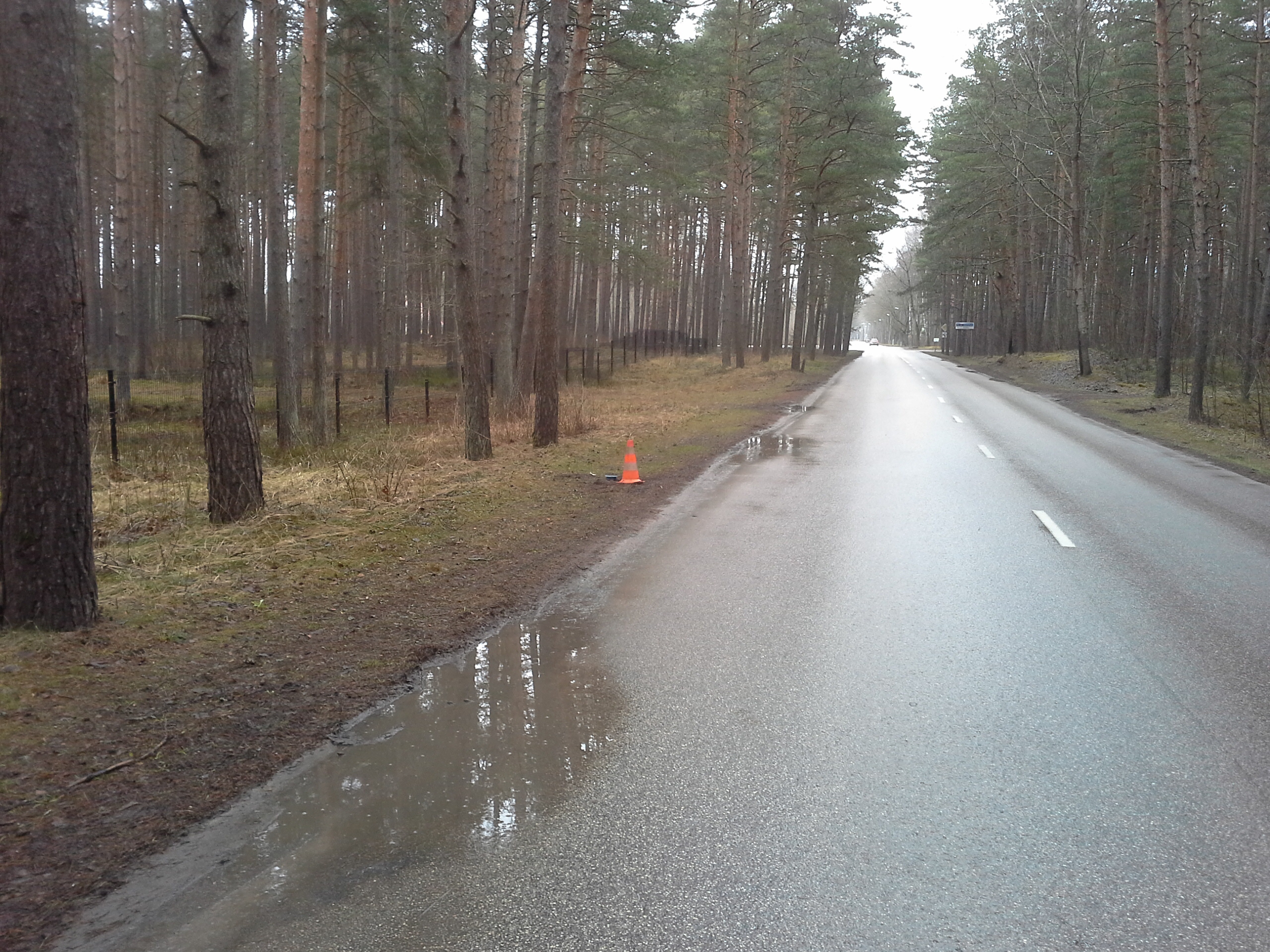 Apkārtnes foto