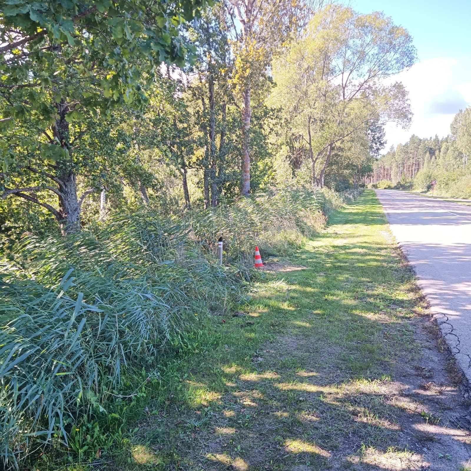 Apkārtnes foto